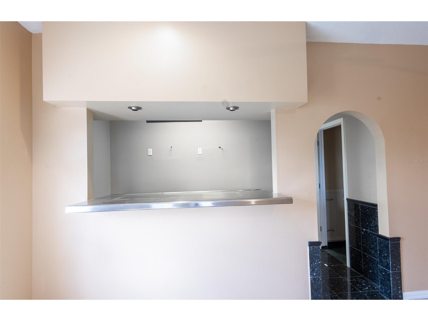16224 Ivy Lake Drive Odessa FL 33556 TB8440939 image33