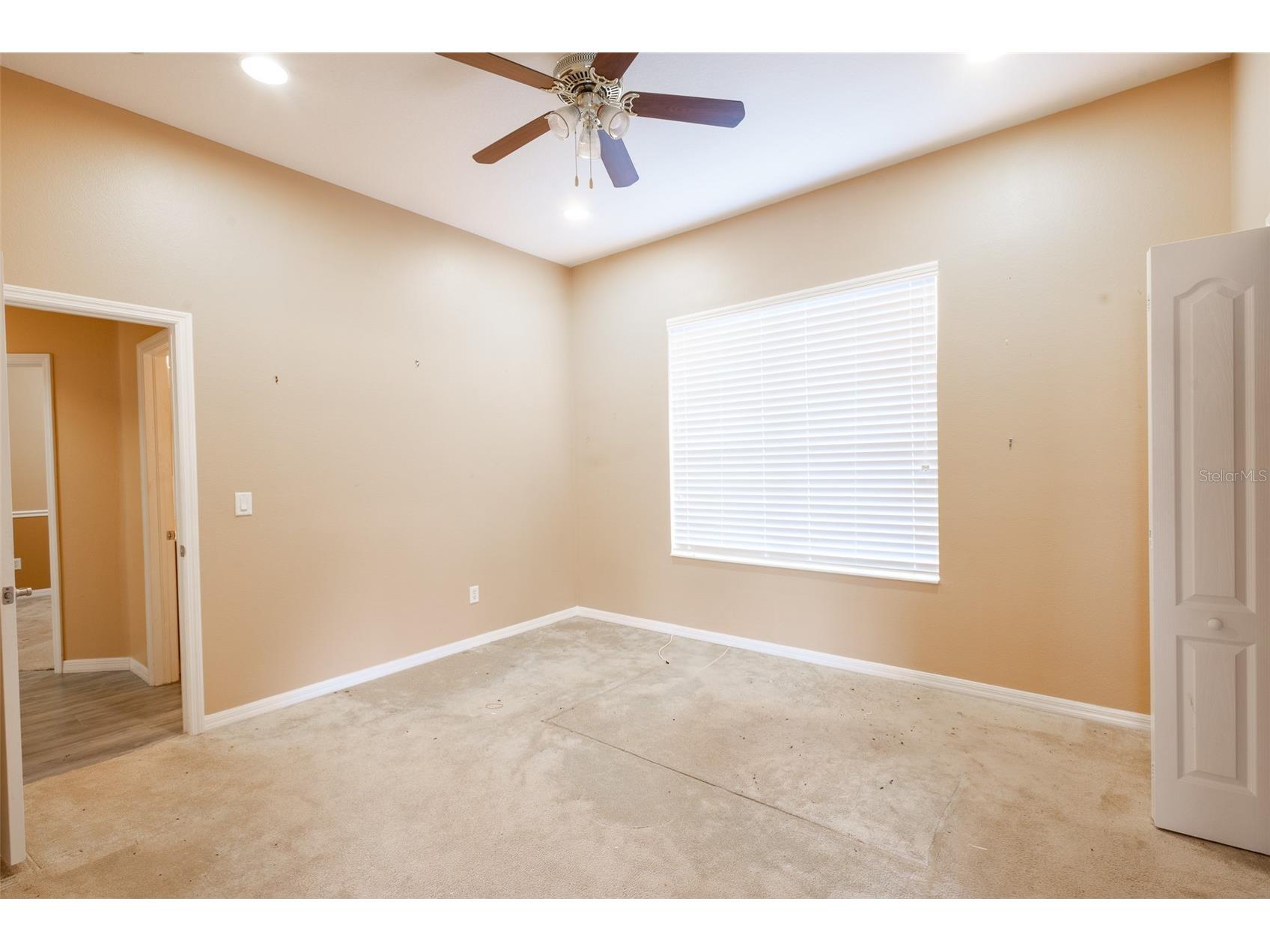 16224 Ivy Lake Drive Odessa FL 33556 TB8440939 image34