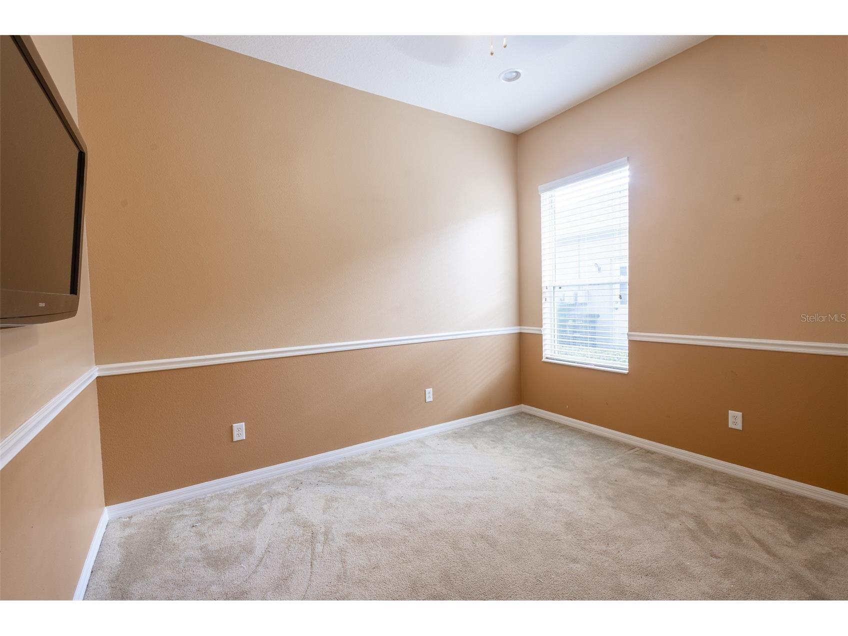 16224 Ivy Lake Drive Odessa FL 33556 TB8440939 image38