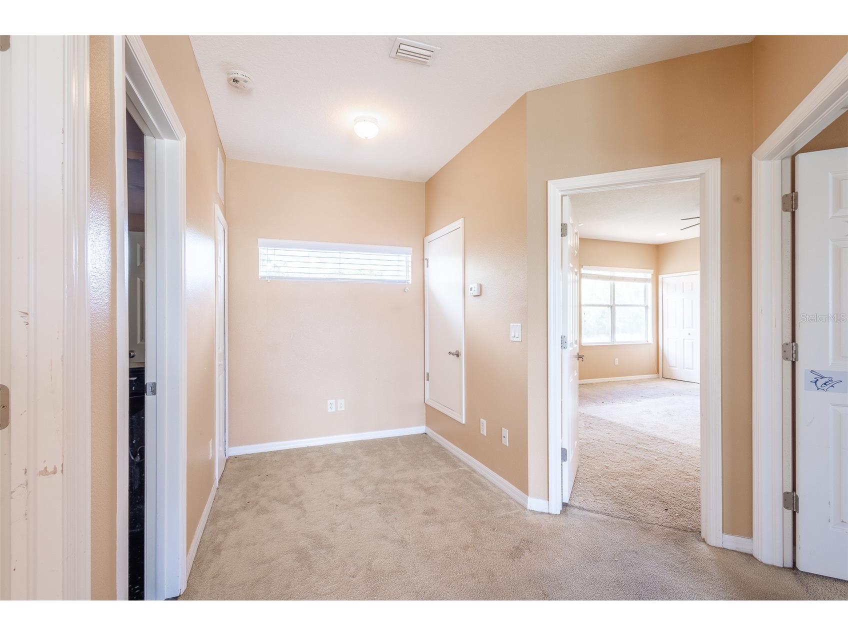 16224 Ivy Lake Drive Odessa FL 33556 TB8440939 image39