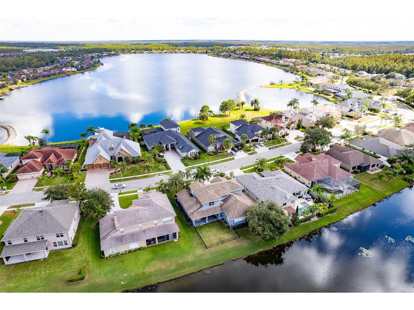 16224 Ivy Lake Drive Odessa FL 33556 TB8440939 image4