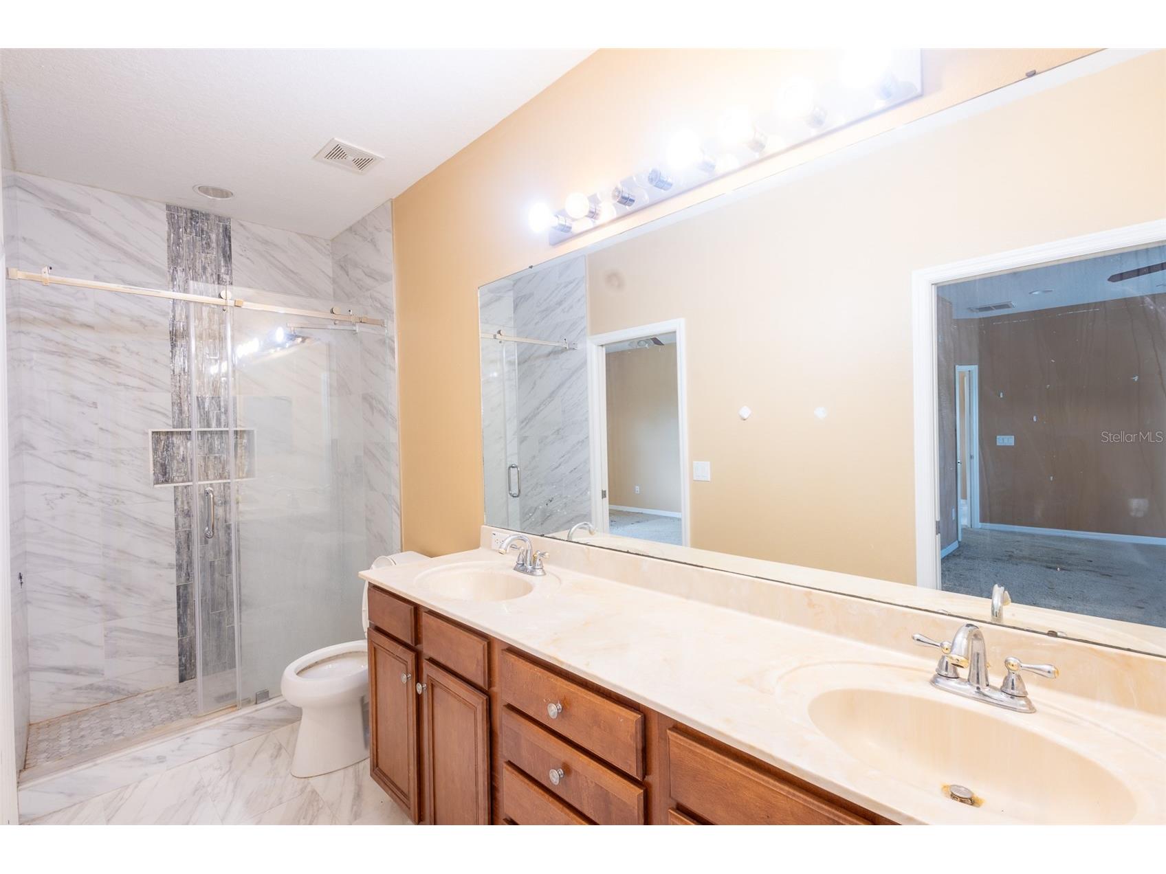 16224 Ivy Lake Drive Odessa FL 33556 TB8440939 image43