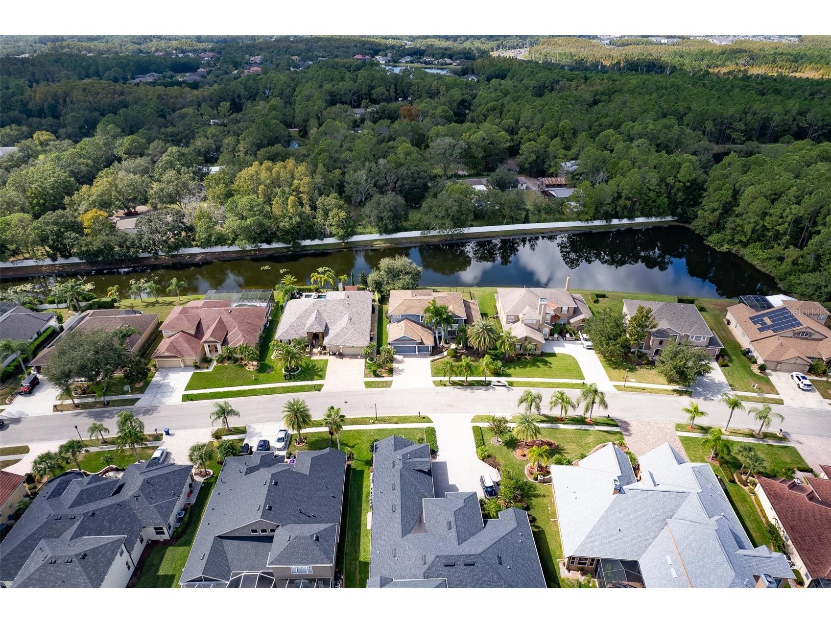 16224 Ivy Lake Drive Odessa FL 33556 TB8440939 image54