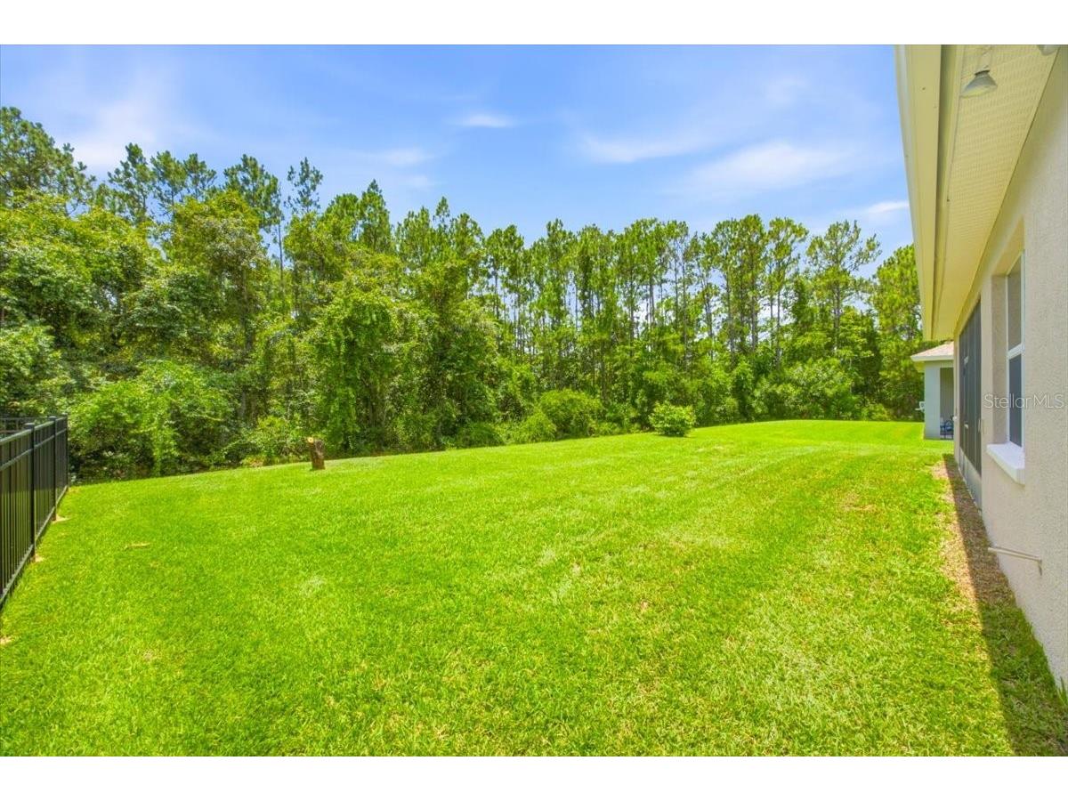 16224 SW Mead Street Clermont FL 34714 G5114726 image18