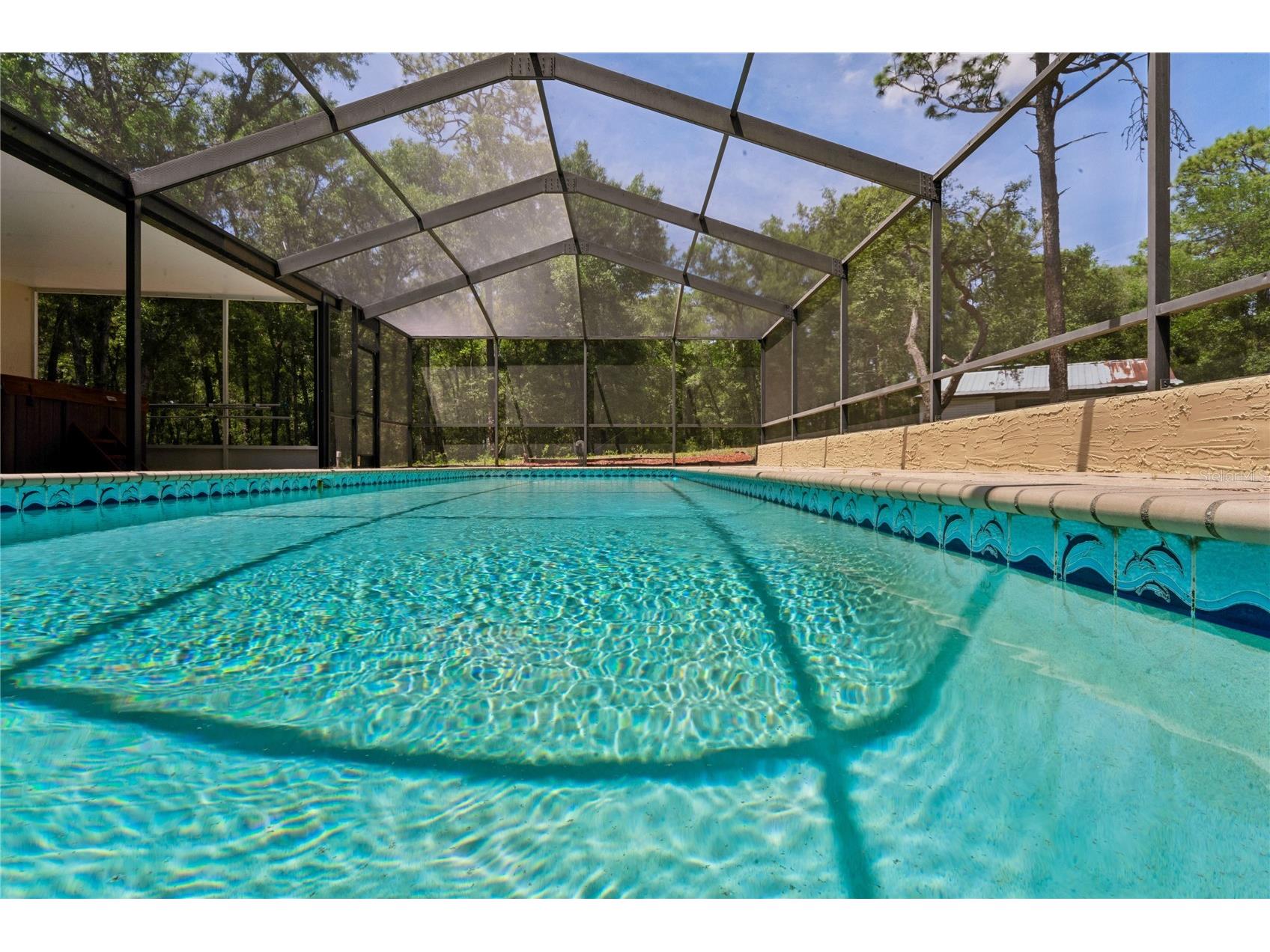16225 Bonzai Trail Brooksville FL 34613 W7885195 image48
