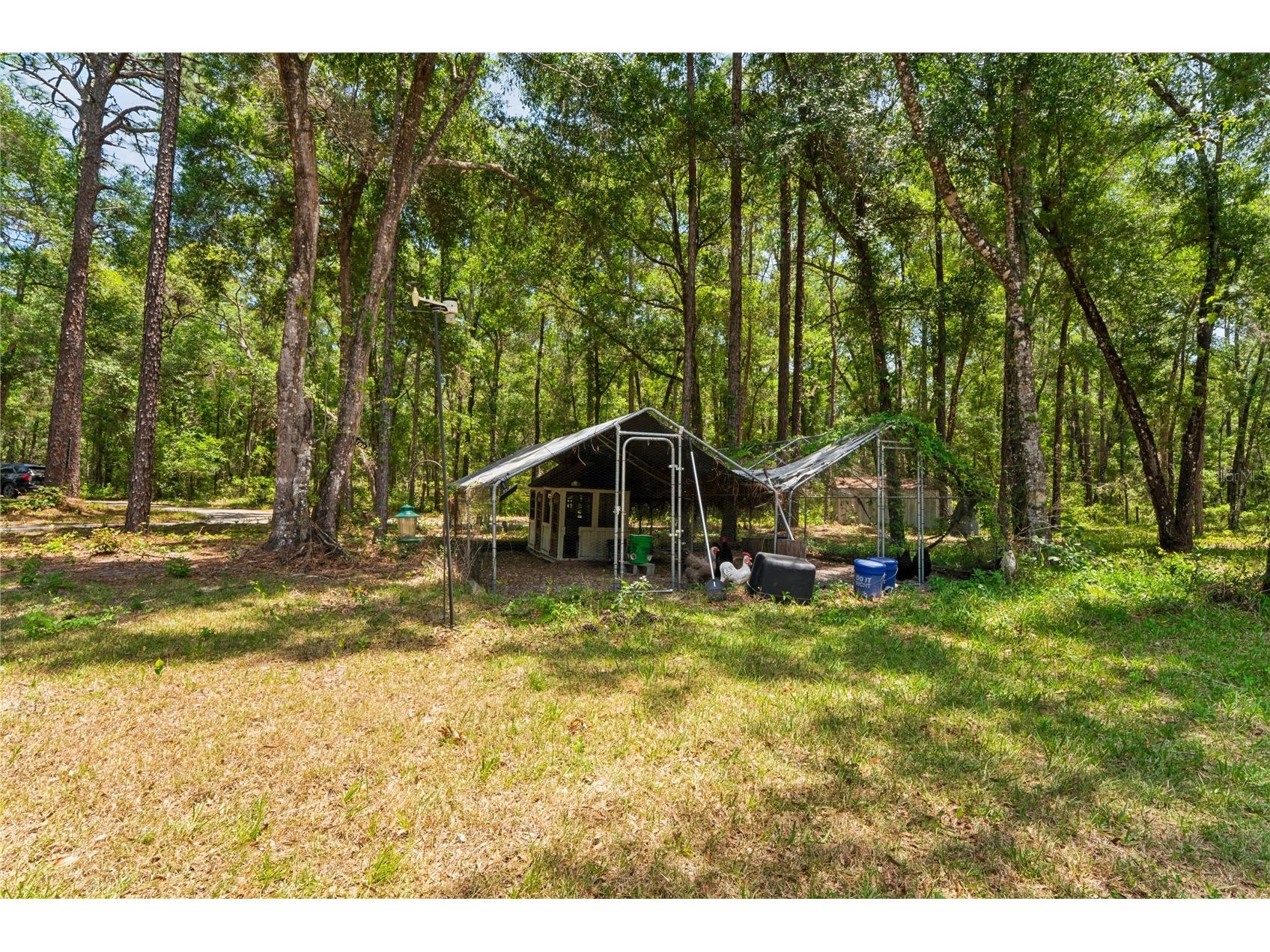 16225 Bonzai Trail Brooksville FL 34613 W7885195 image54