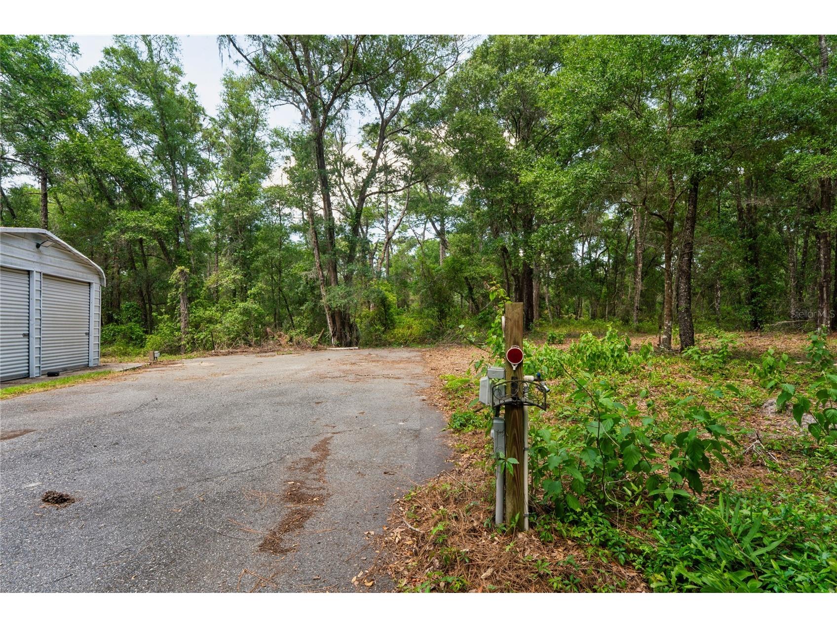 16225 Bonzai Trail Brooksville FL 34613 W7885195 image58