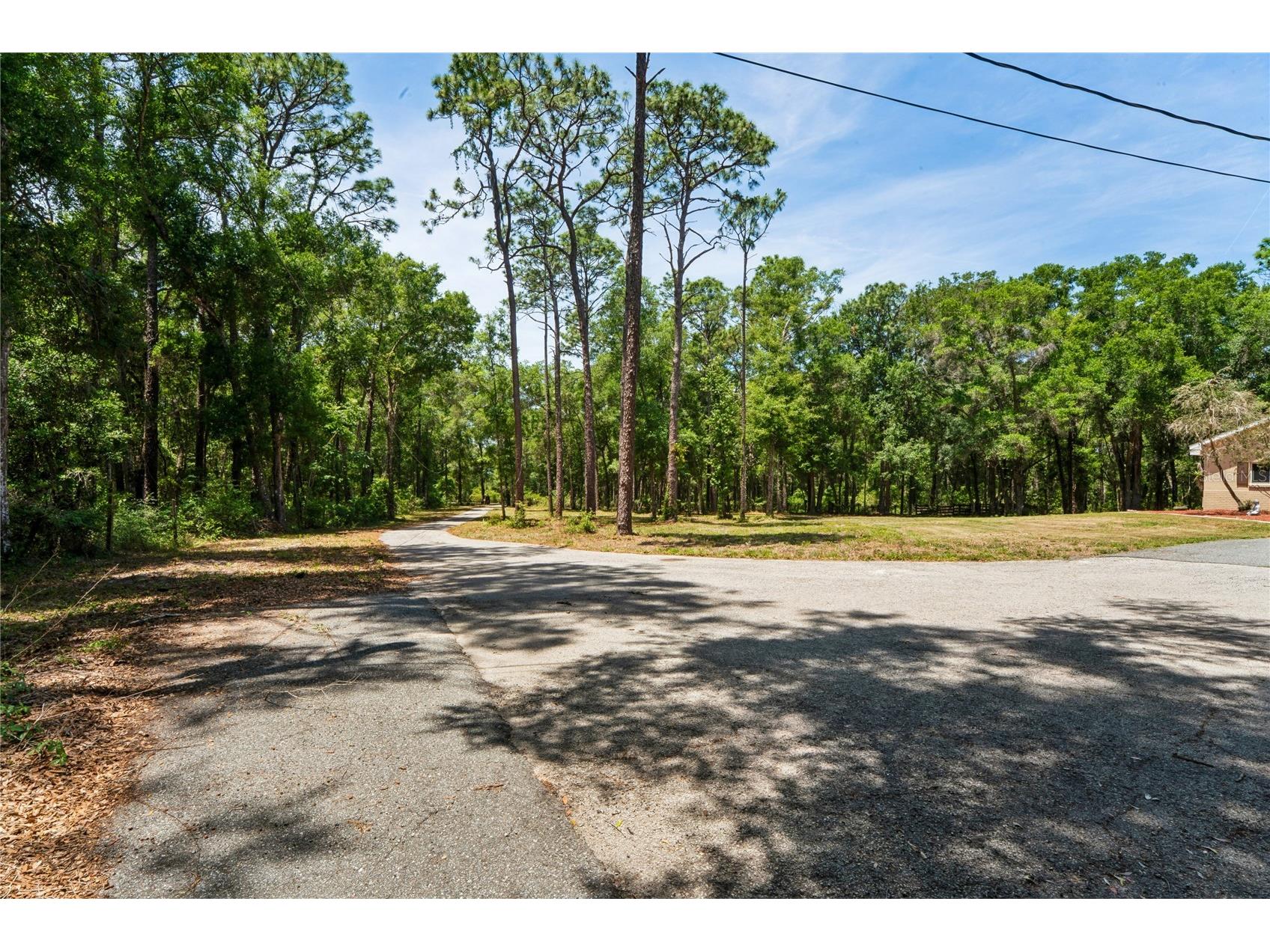 16225 Bonzai Trail Brooksville FL 34613 W7885195 image64