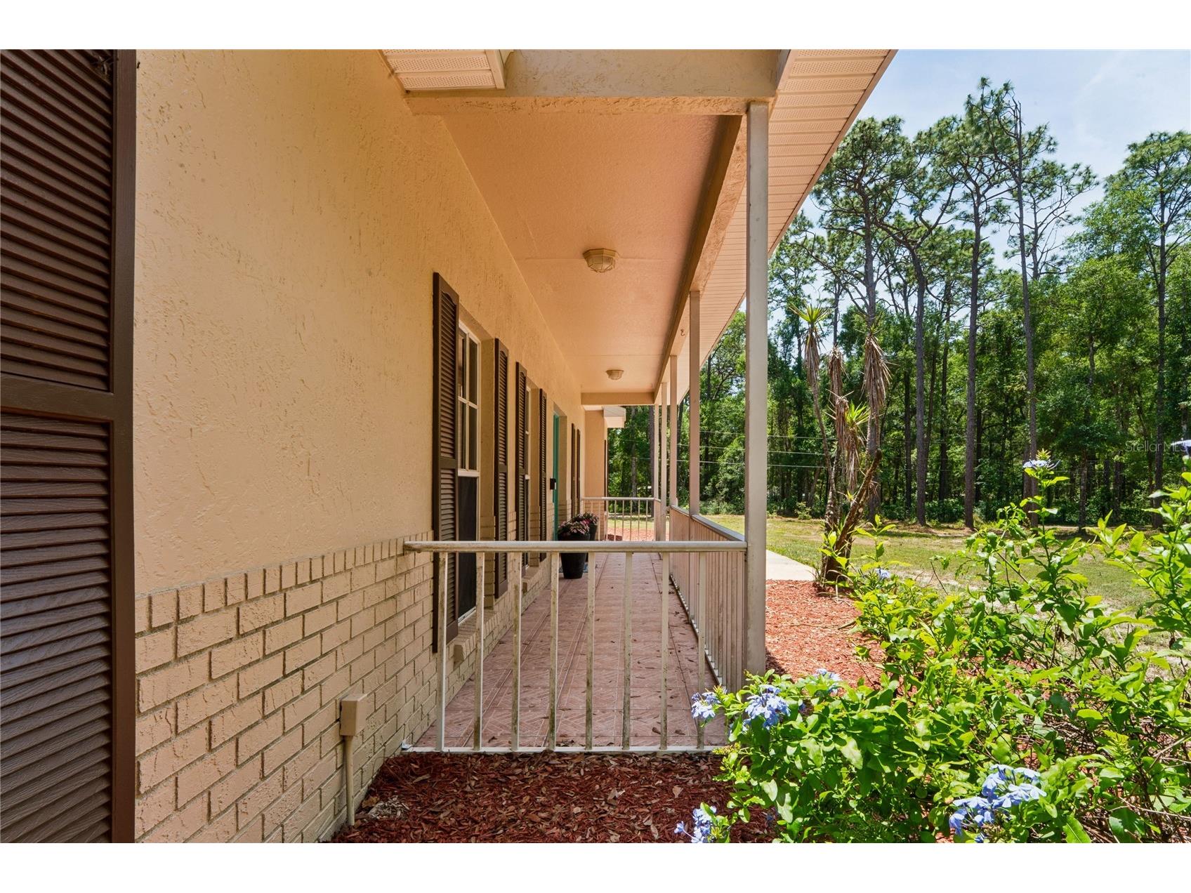 16225 Bonzai Trail Brooksville FL 34613 W7885195 image69