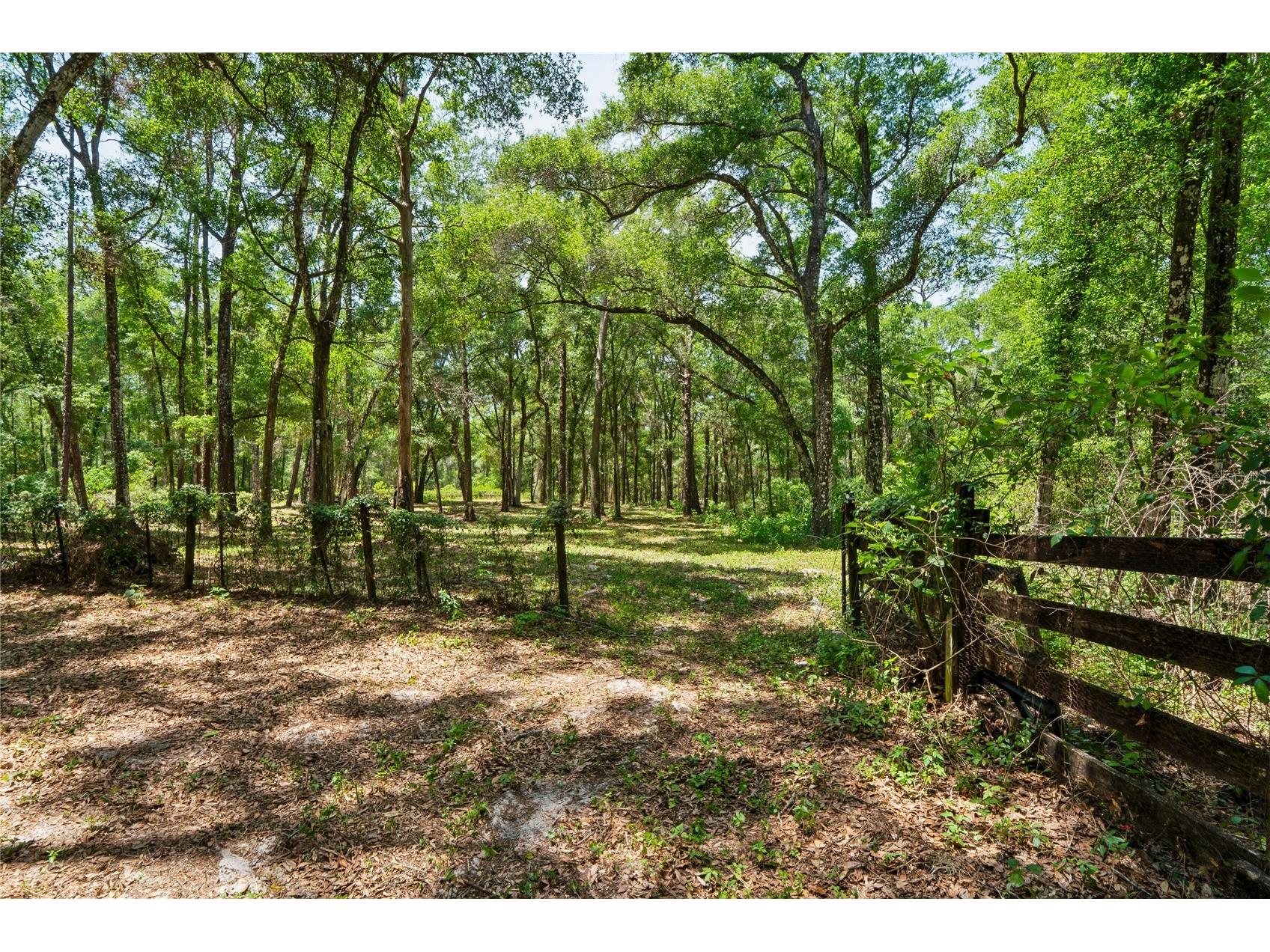 16225 Bonzai Trail Brooksville FL 34613 W7885195 image72