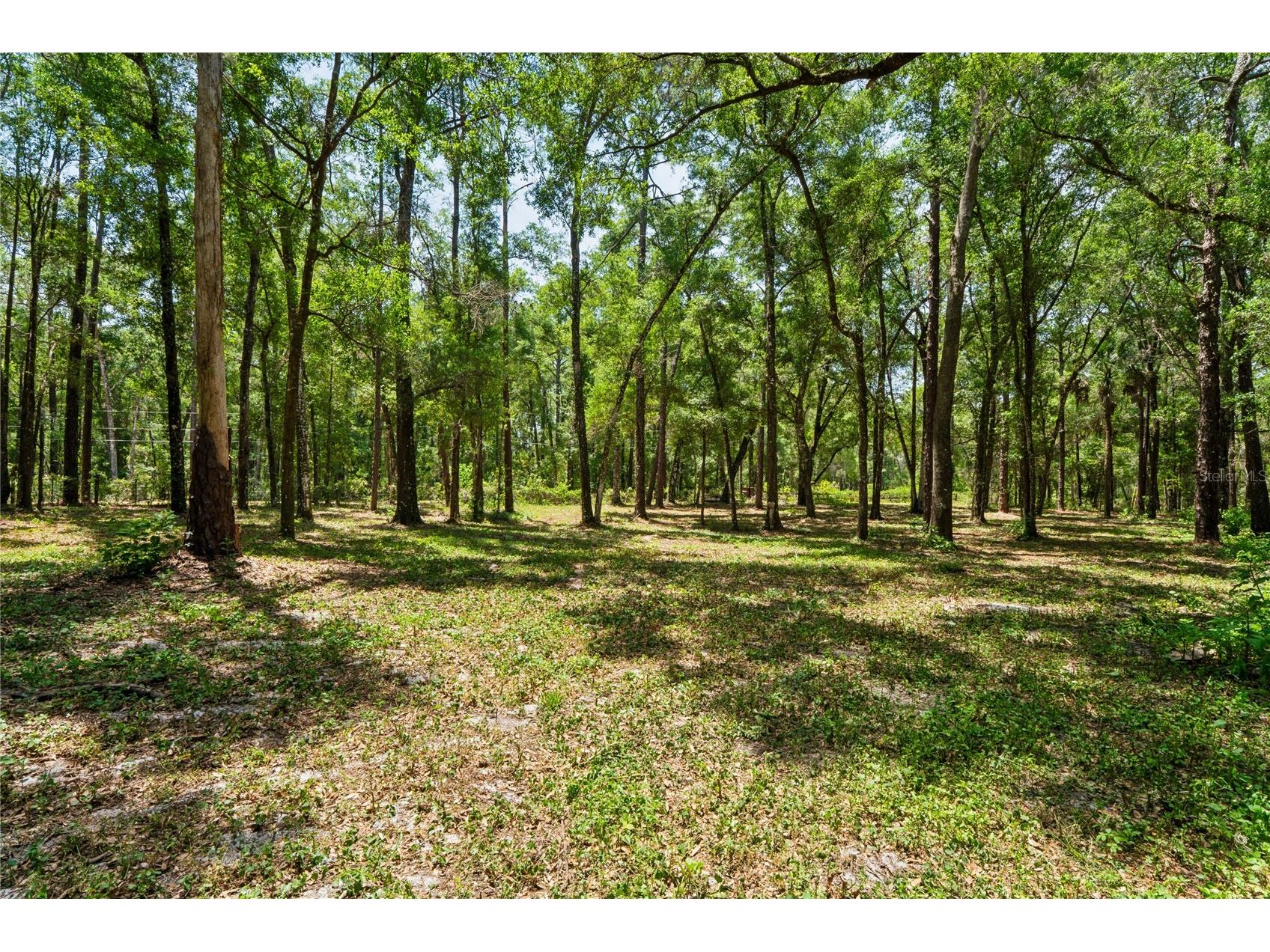 16225 Bonzai Trail Brooksville FL 34613 W7885195 image73