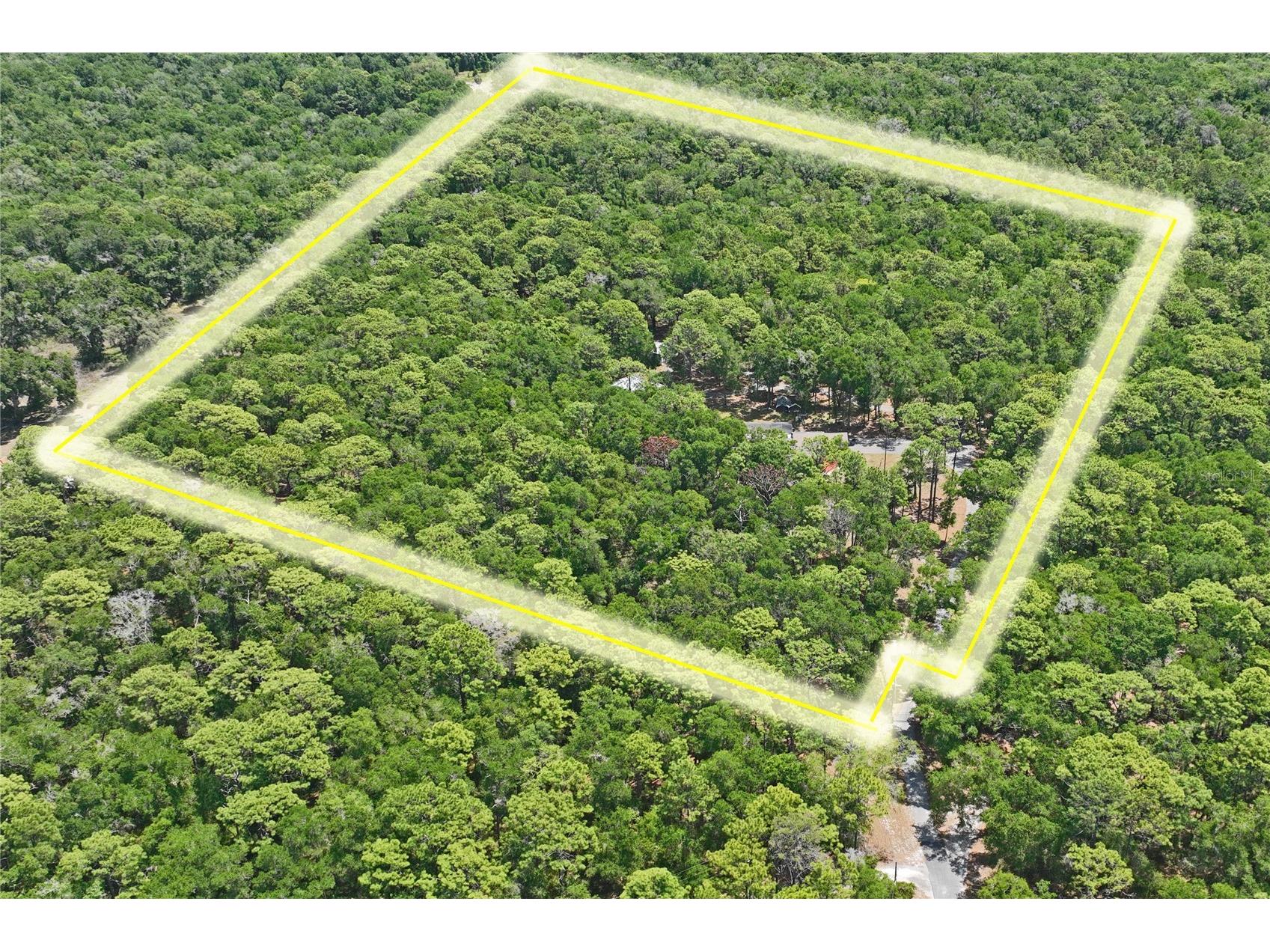 16225 Bonzai Trail Brooksville FL 34613 W7885195 image77