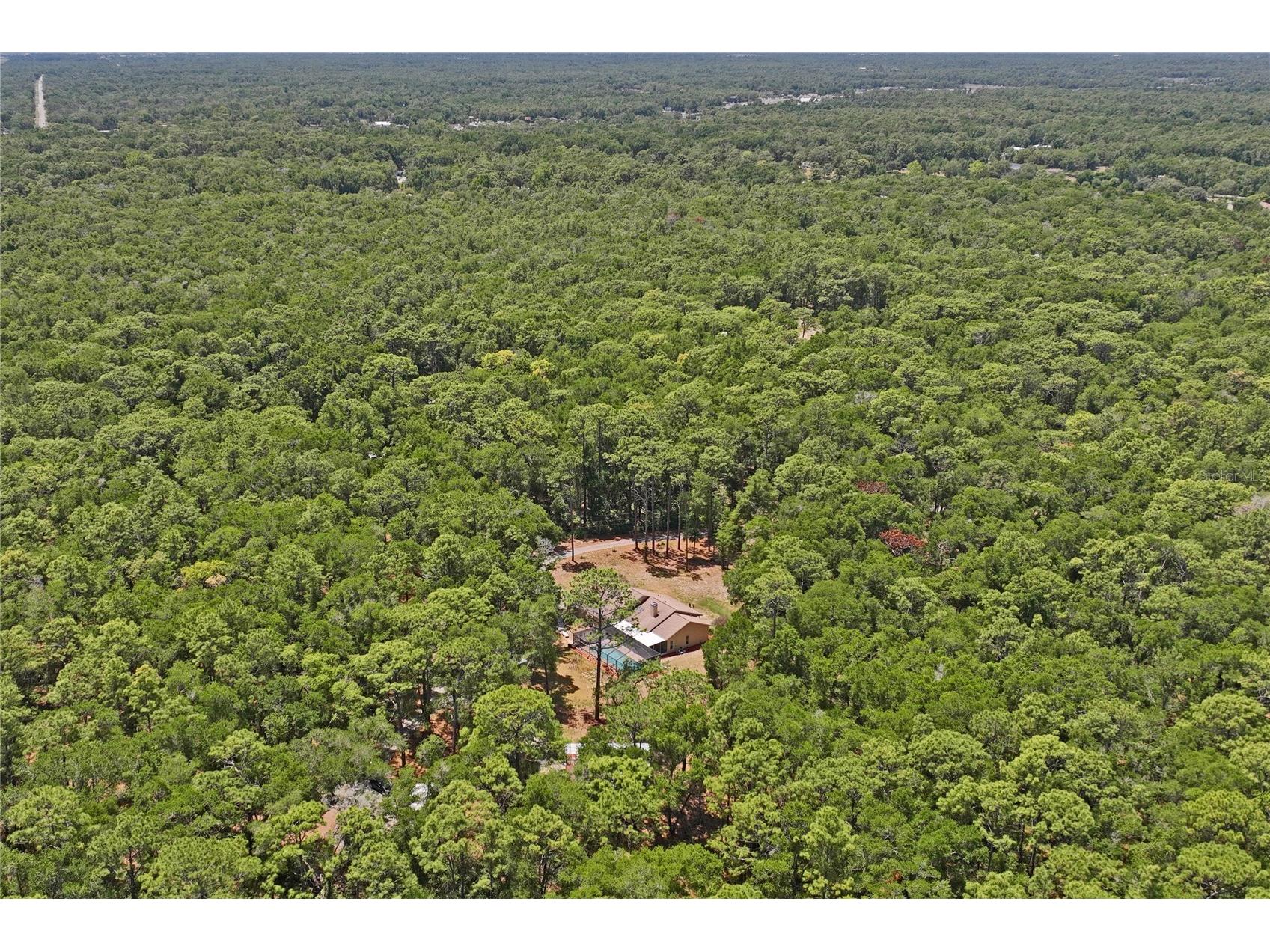 16225 Bonzai Trail Brooksville FL 34613 W7885195 image79