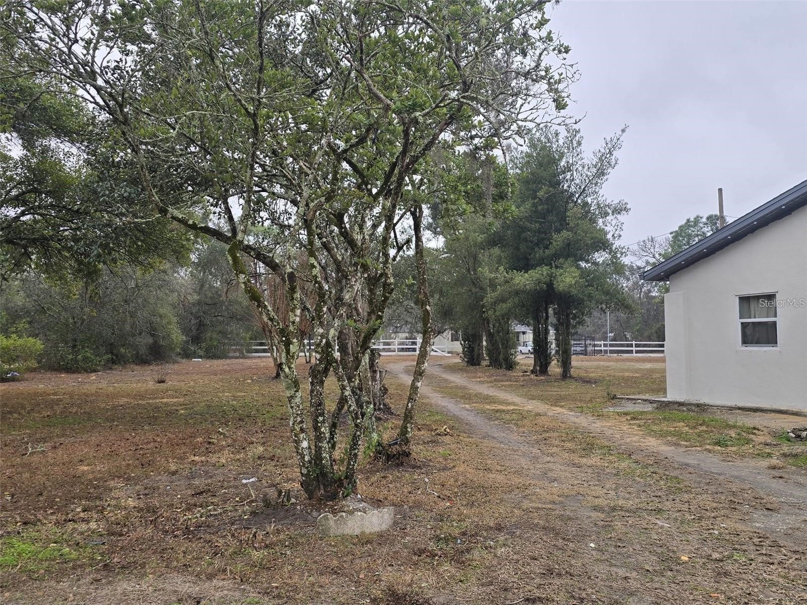 16225 Whippoorwill Lane Spring Hill FL 34610 S5150219 image37