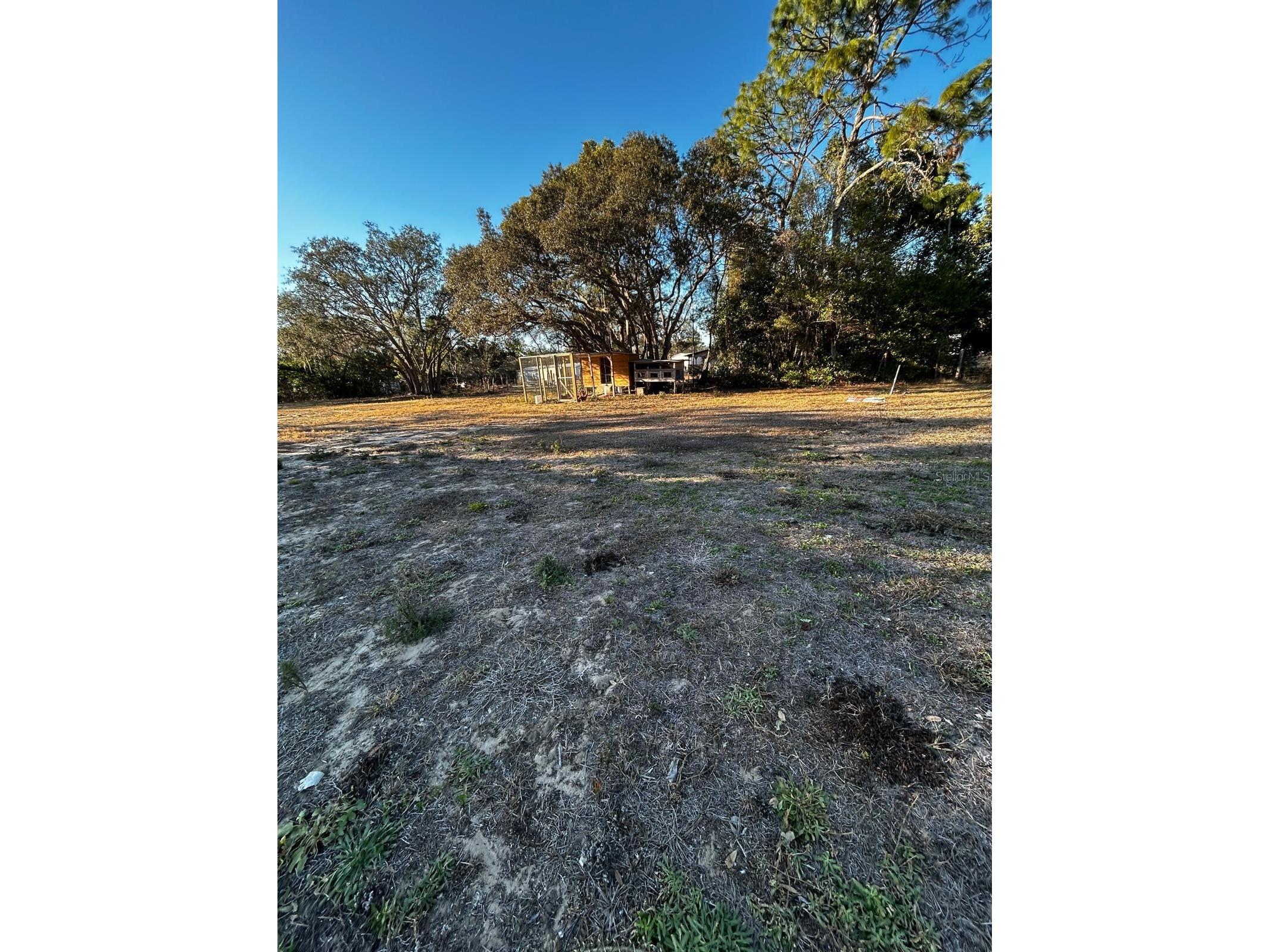 16225 Whippoorwill Lane Spring Hill FL 34610 TB8492758 image34