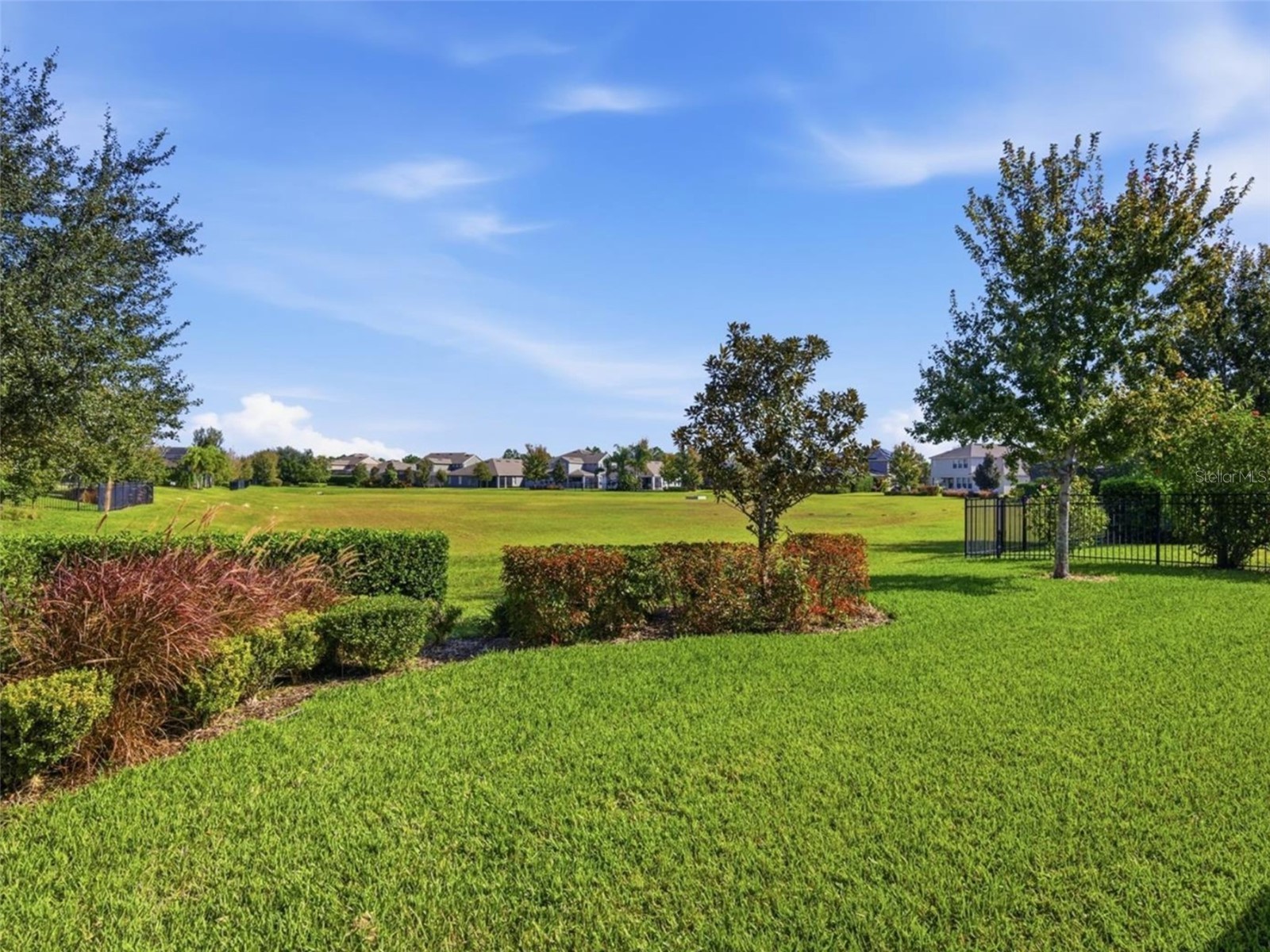 16226 Rock Coast Drive Winter Garden FL 34787 O6401365 image19