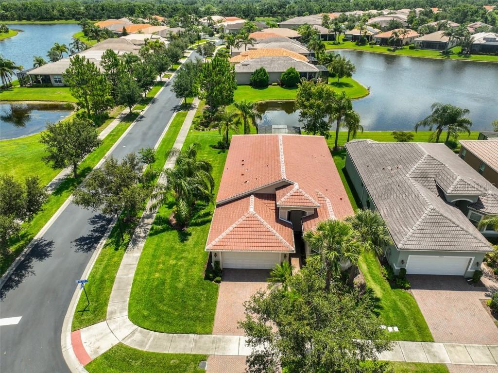 16227 Cape Coral Drive Wimauma FL 33598 TB8389033 image1