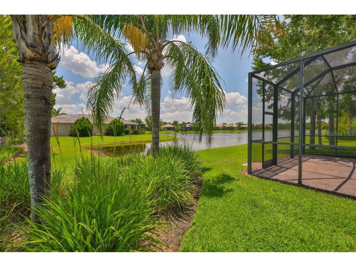 16227 Cape Coral Drive Wimauma FL 33598 TB8389033 image47
