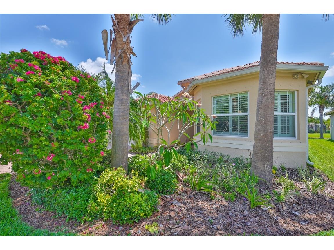 16227 Cape Coral Drive Wimauma FL 33598 TB8389033 image5