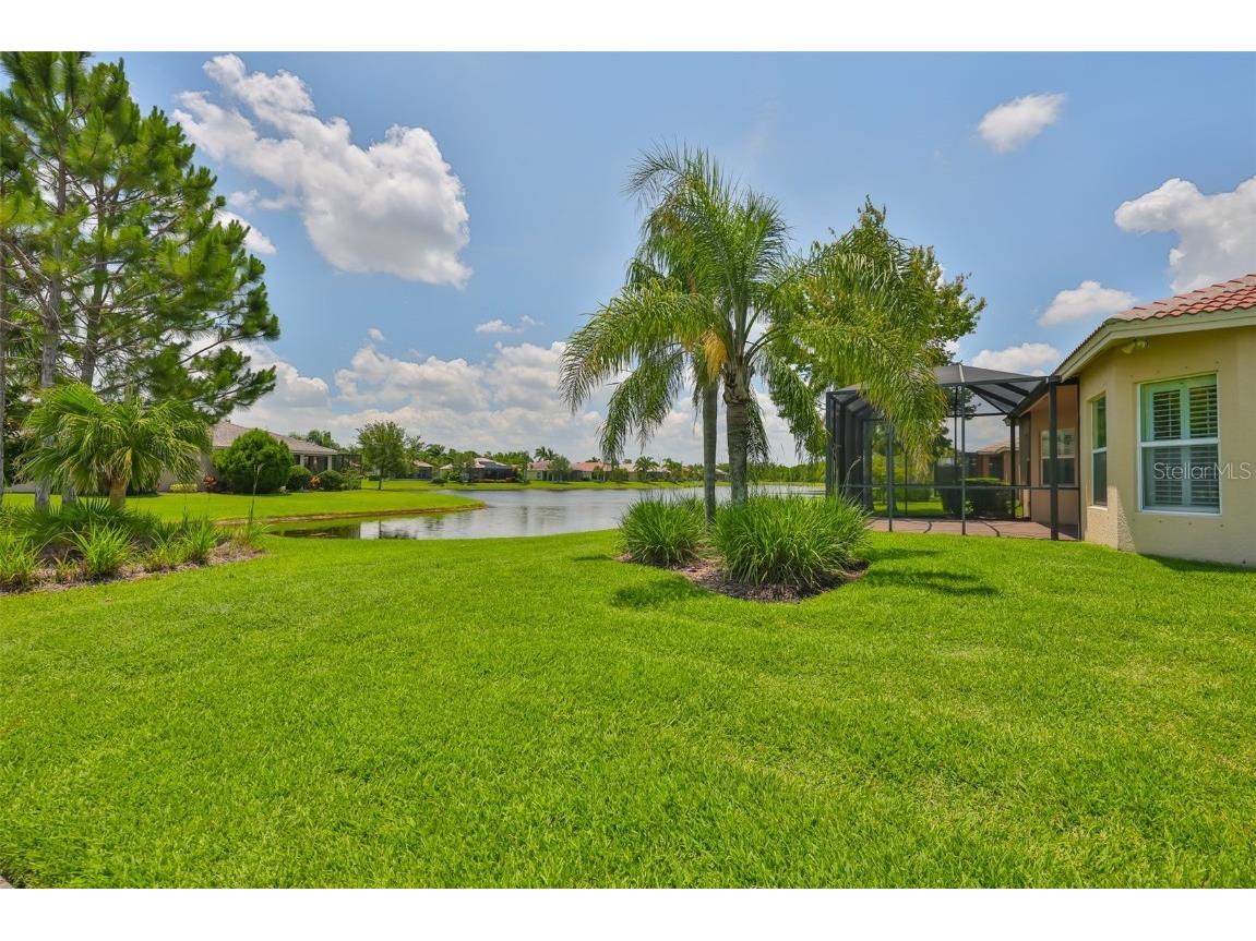 16227 Cape Coral Drive Wimauma FL 33598 TB8389033 image50