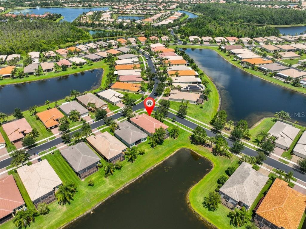 16227 Cape Coral Drive Wimauma FL 33598 TB8389033 image53