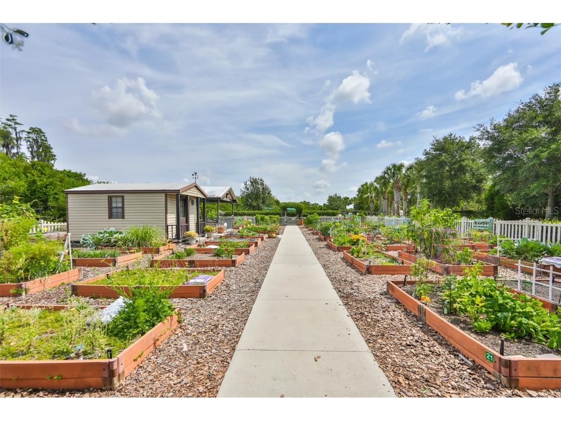 16227 Cape Coral Drive Wimauma FL 33598 TB8389033 image59