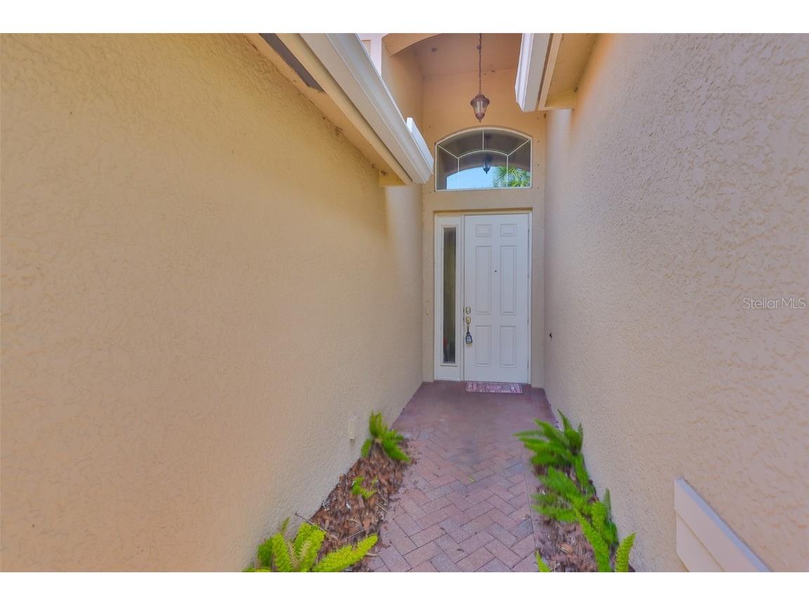 16227 Cape Coral Drive Wimauma FL 33598 TB8389033 image7