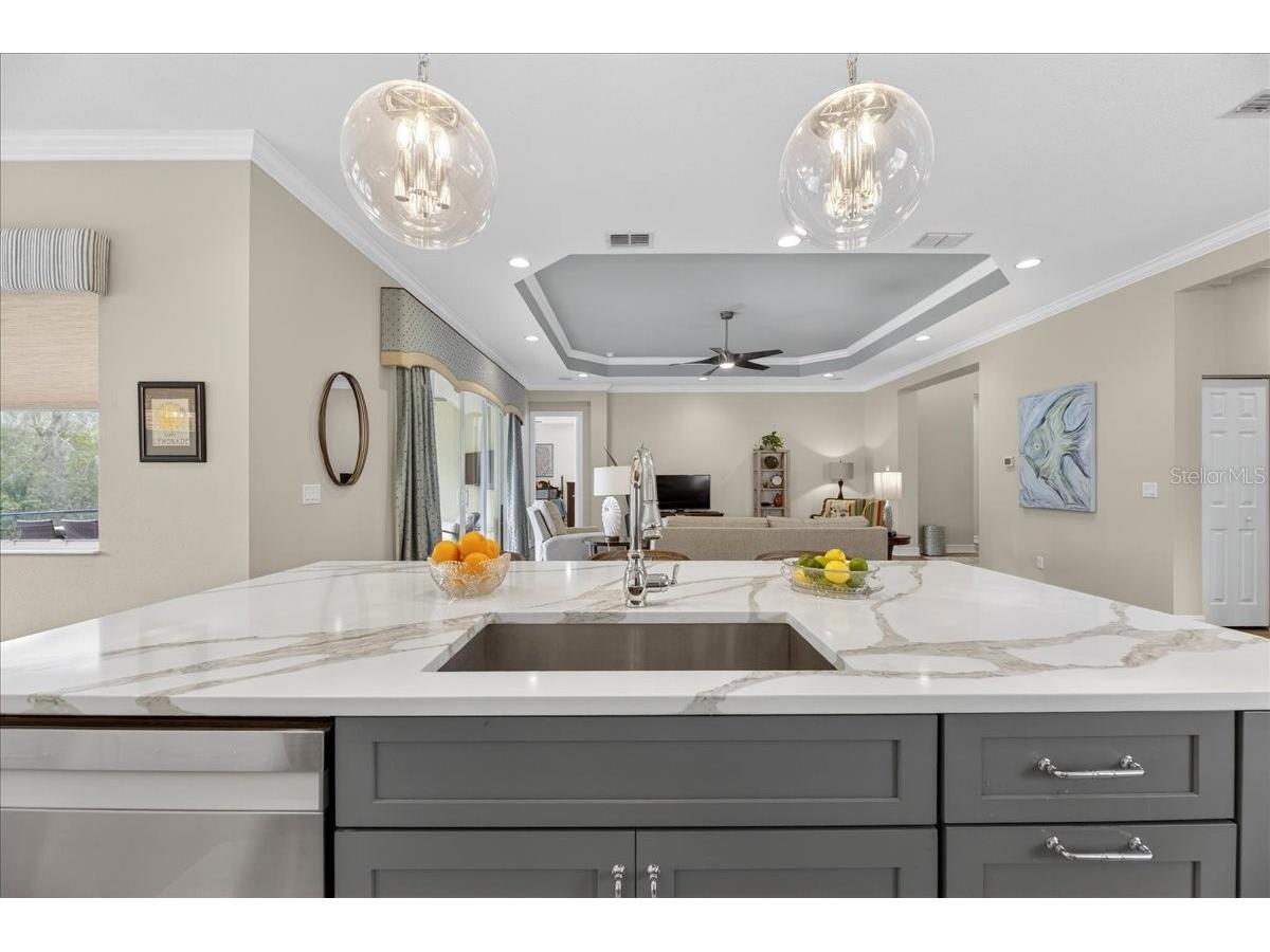 16227 Diamond Bay Drive Wimauma FL 33598 TB8465706 image16