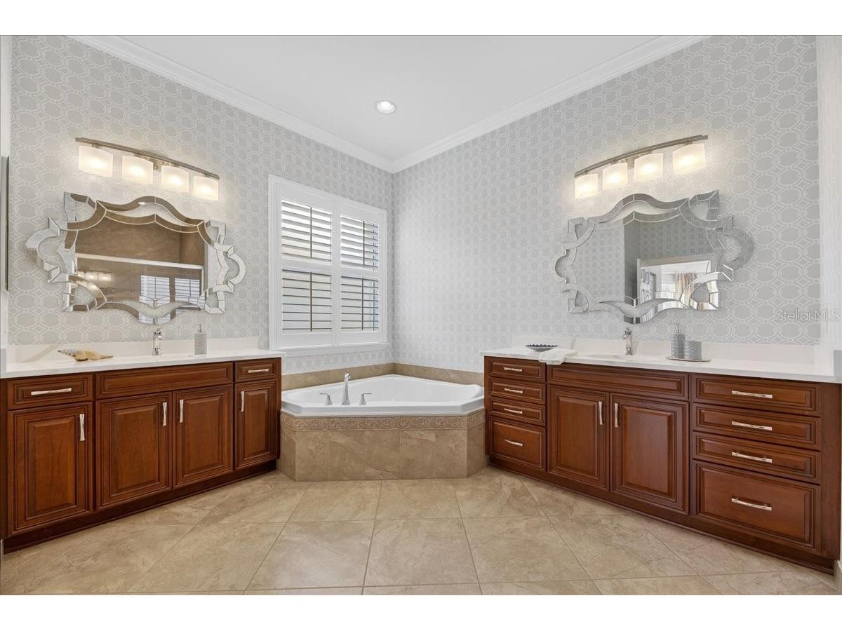 16227 Diamond Bay Drive Wimauma FL 33598 TB8465706 image29