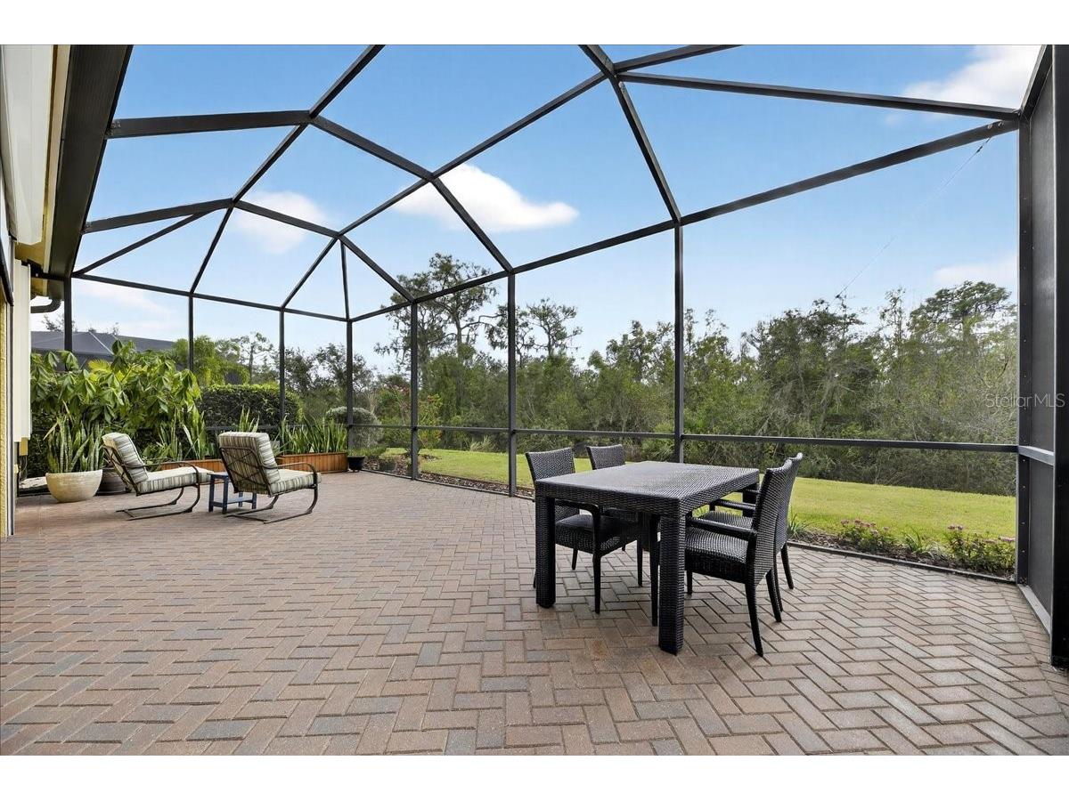 16227 Diamond Bay Drive Wimauma FL 33598 TB8465706 image47