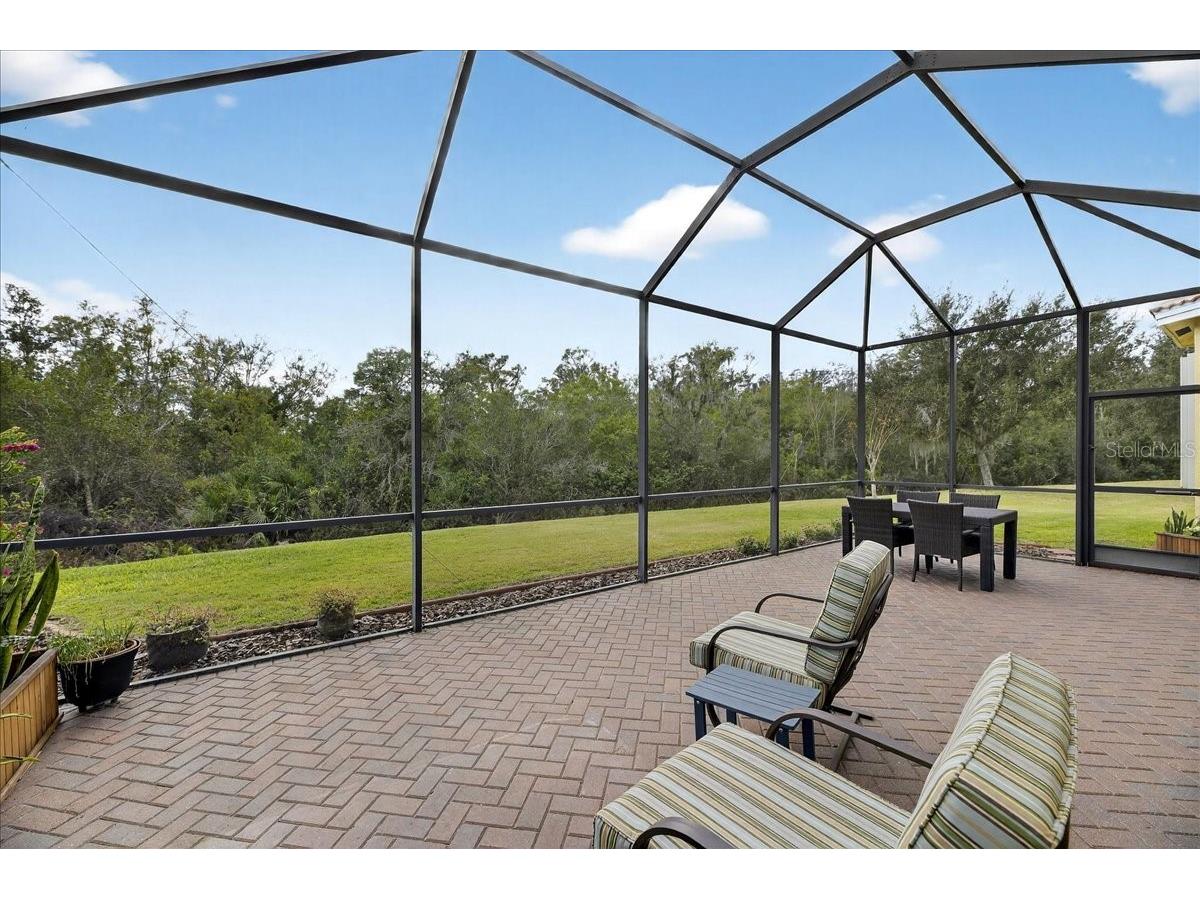 16227 Diamond Bay Drive Wimauma FL 33598 TB8465706 image48