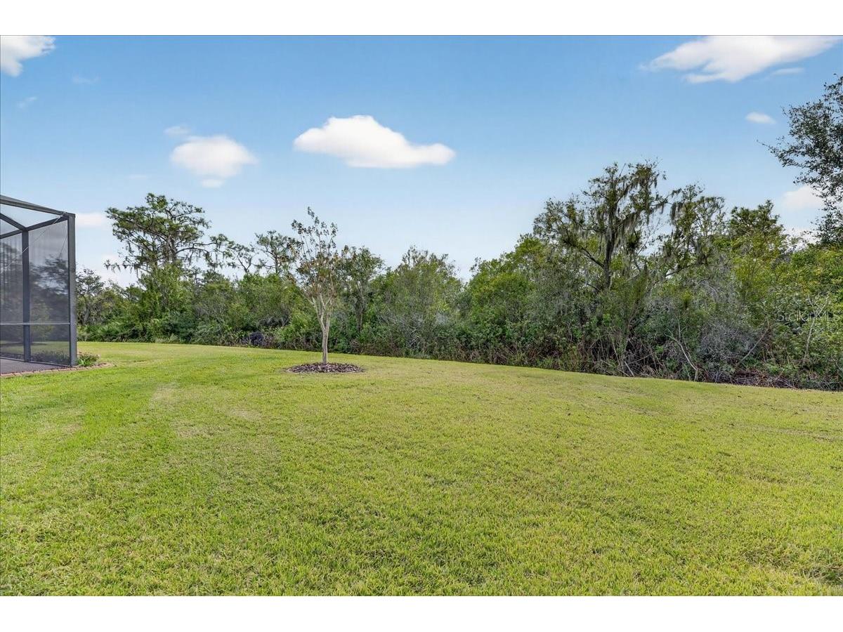 16227 Diamond Bay Drive Wimauma FL 33598 TB8465706 image49