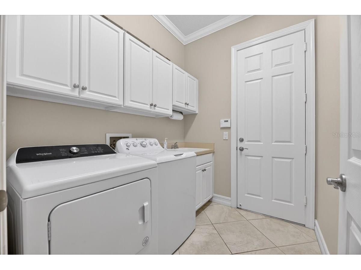 16227 Diamond Bay Drive Wimauma FL 33598 TB8465706 image52