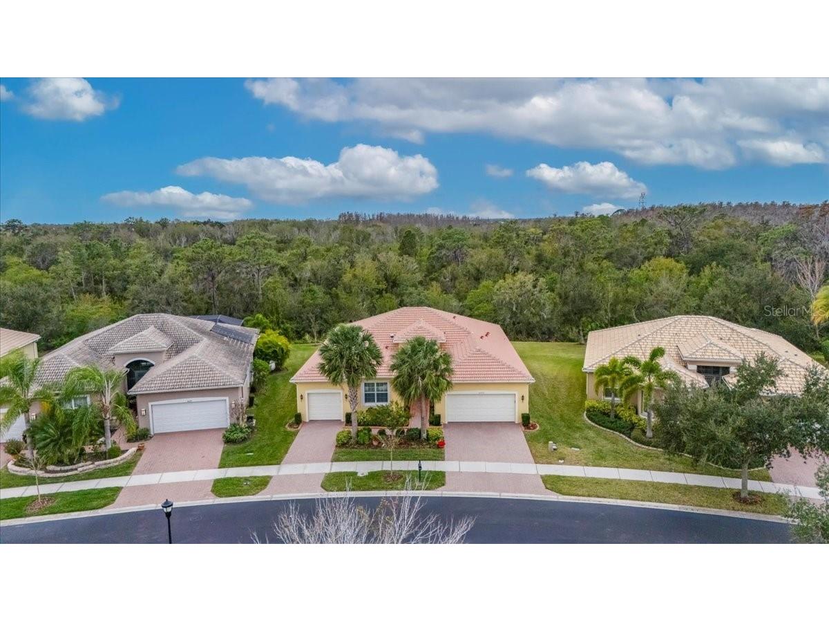 16227 Diamond Bay Drive Wimauma FL 33598 TB8465706 image56