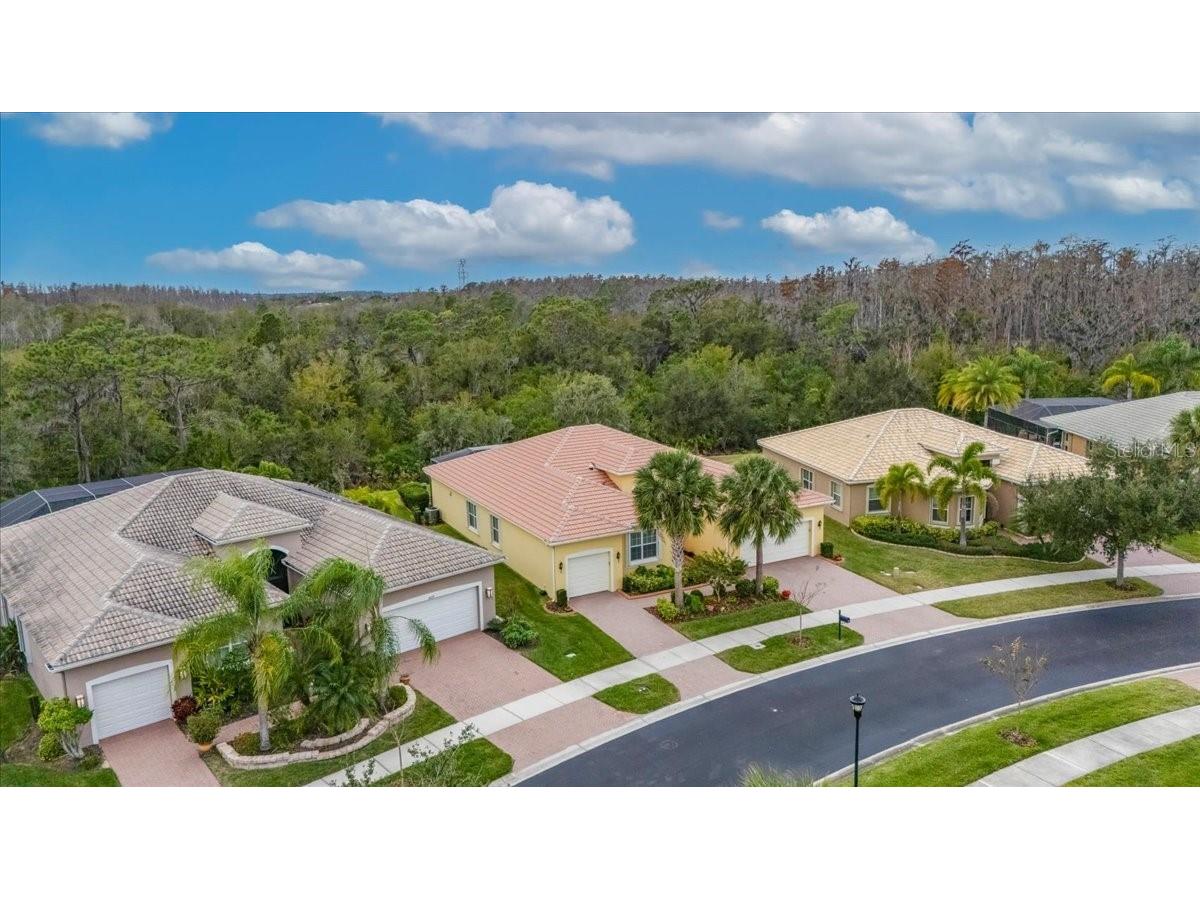 16227 Diamond Bay Drive Wimauma FL 33598 TB8465706 image58