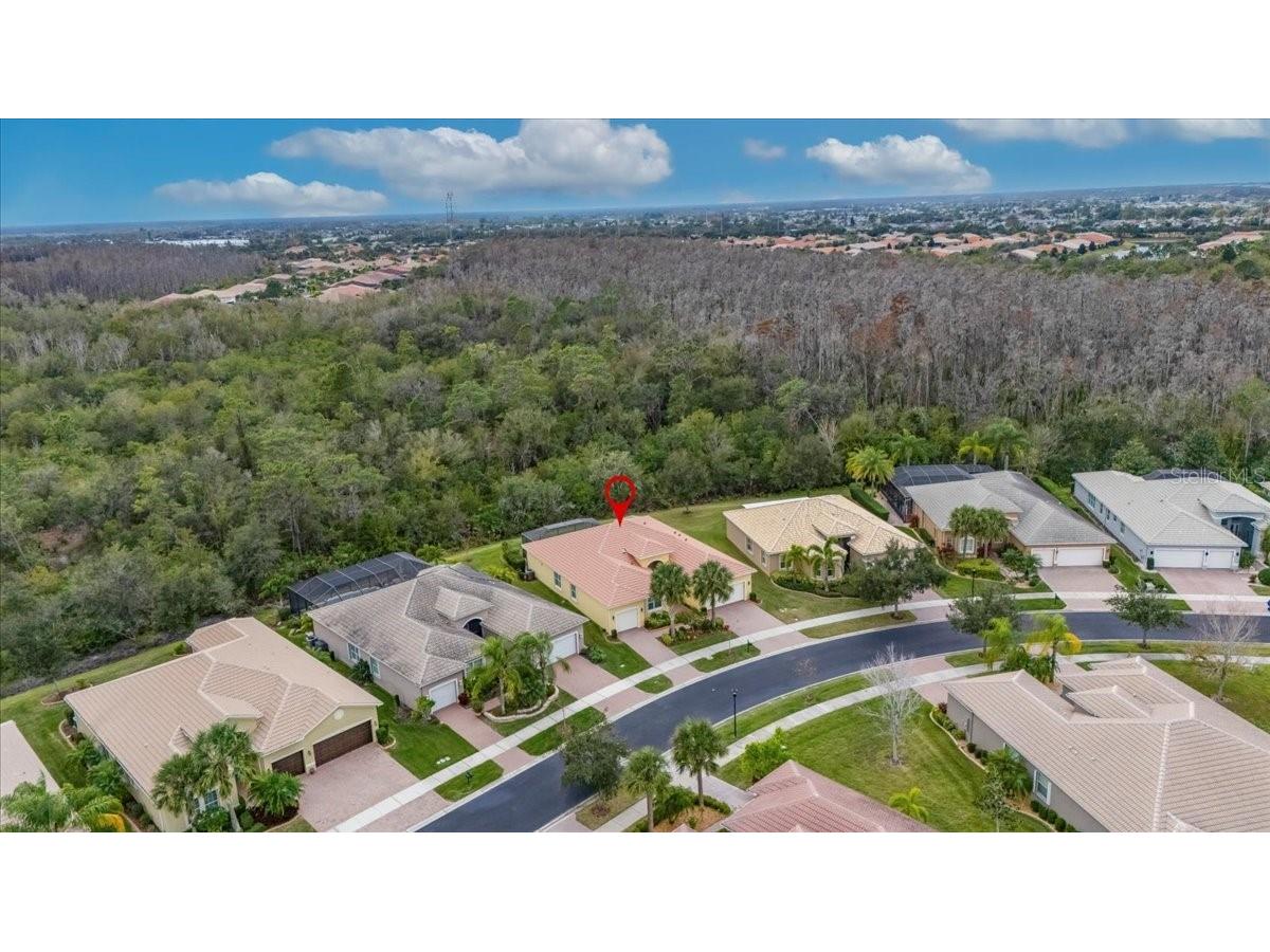 16227 Diamond Bay Drive Wimauma FL 33598 TB8465706 image59