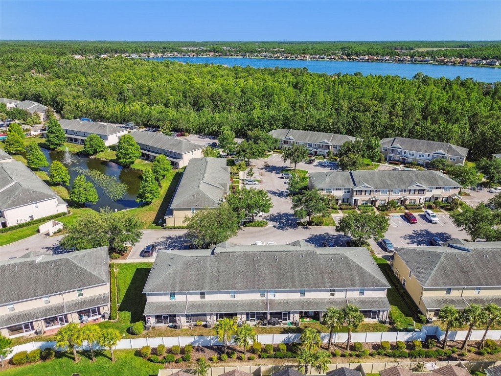 16227 Swan View Circle Odessa FL 33556 TB8456039 image28