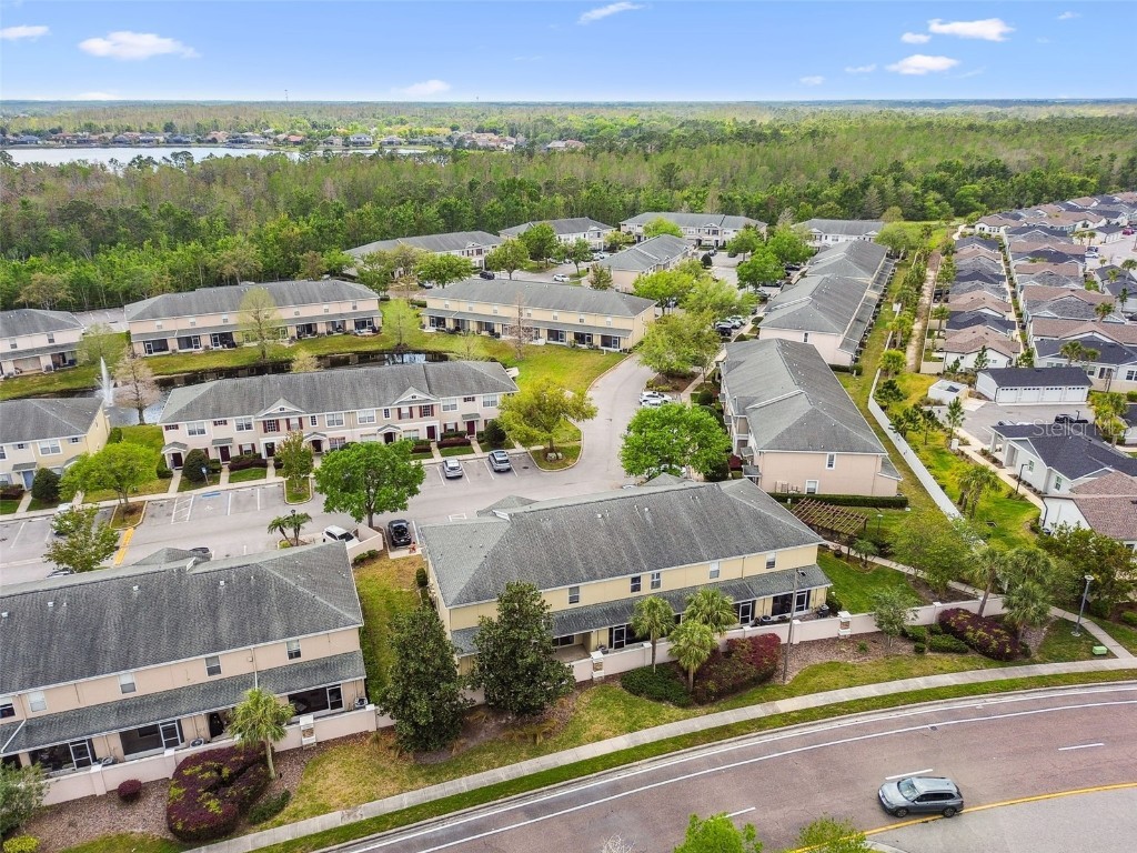 16227 Swan View Circle Odessa FL 33556 TB8456039 image65