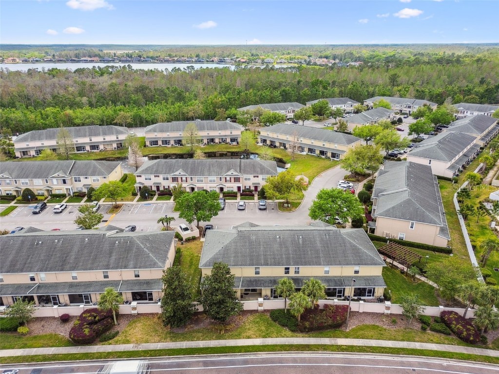 16227 Swan View Circle Odessa FL 33556 TB8456039 image66