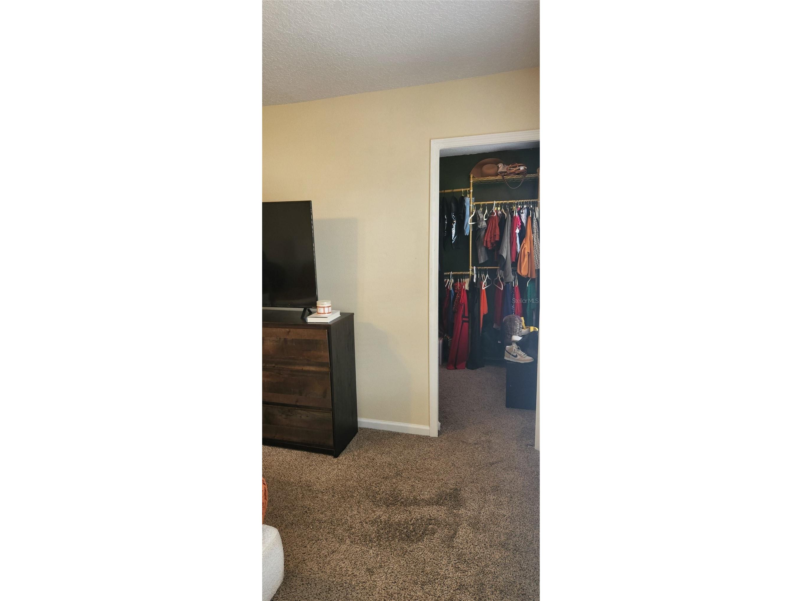 16229 Old Ash Loop Orlando FL 32828 G5112980 image20
