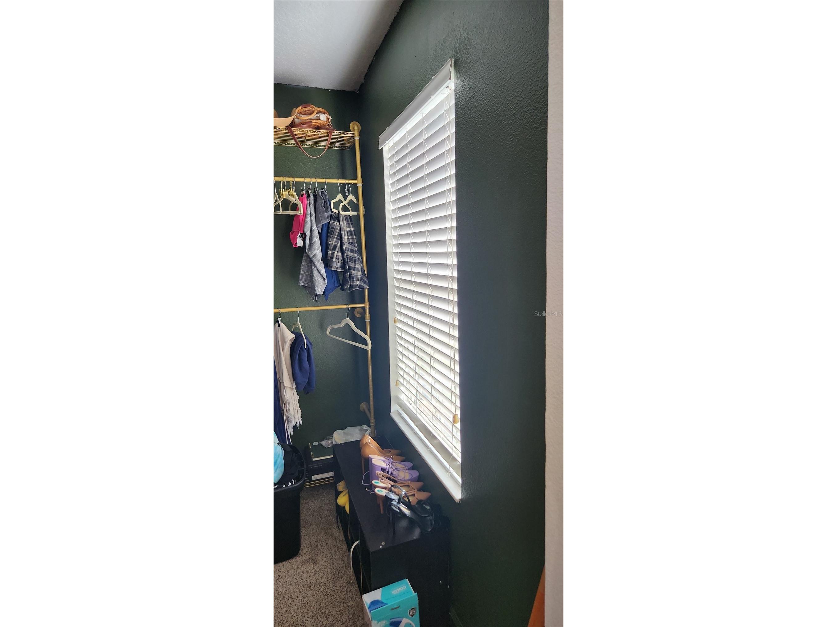 16229 Old Ash Loop Orlando FL 32828 G5112980 image21