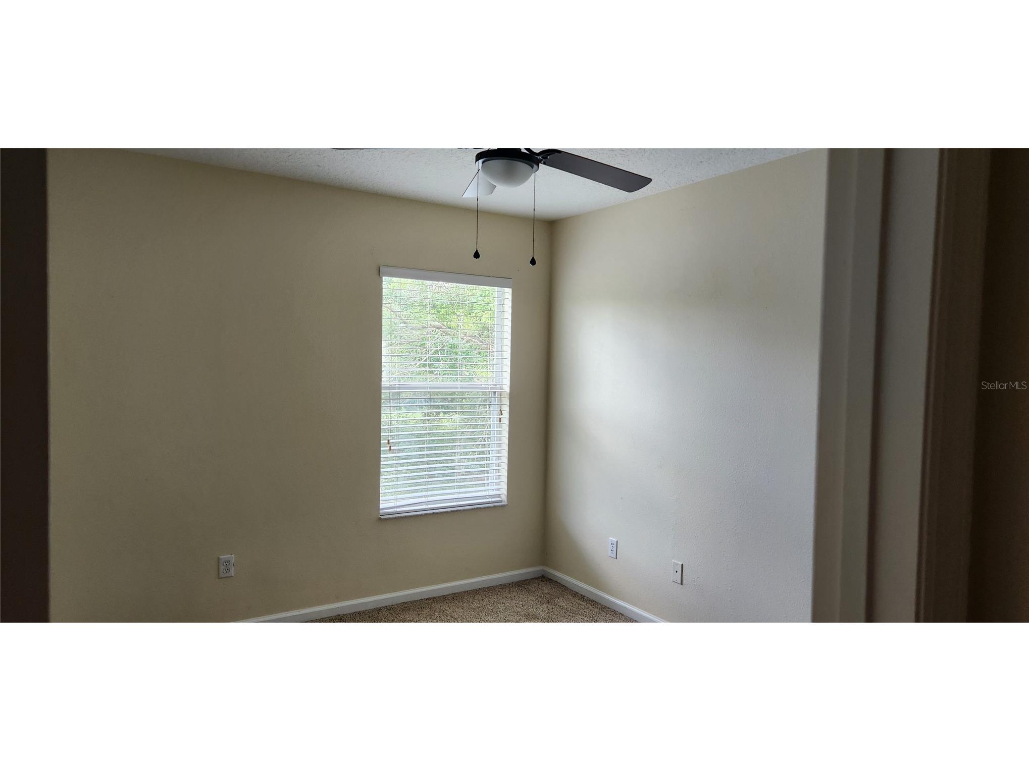 16229 Old Ash Loop Orlando FL 32828 G5112980 image23
