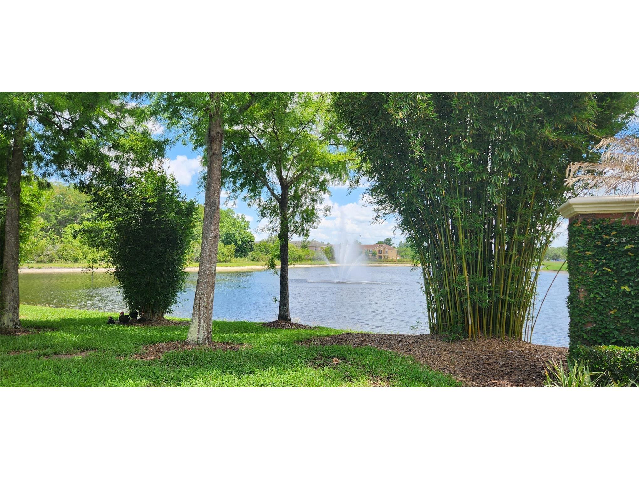 16229 Old Ash Loop Orlando FL 32828 G5112980 image3