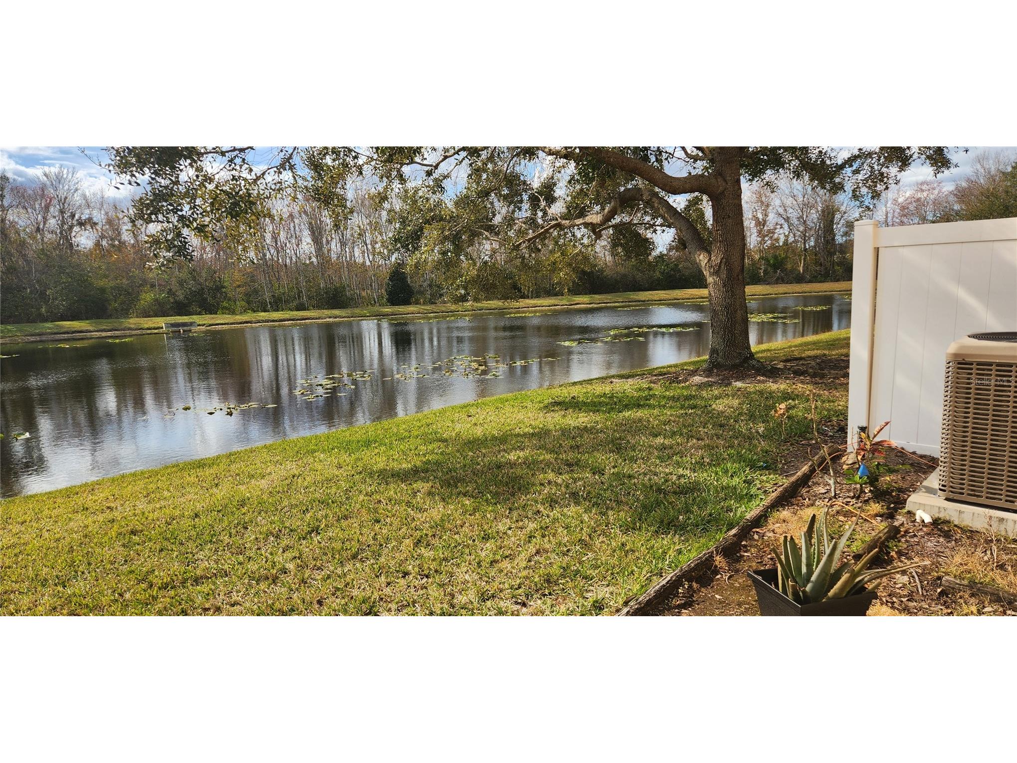 16229 Old Ash Loop Orlando FL 32828 G5112980 image36