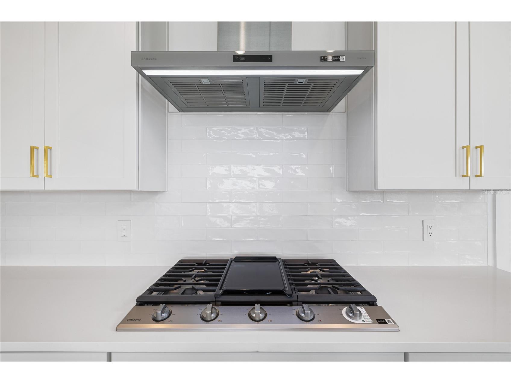 16229 Ravenna Court Montverde FL 34756 O6406334 image21