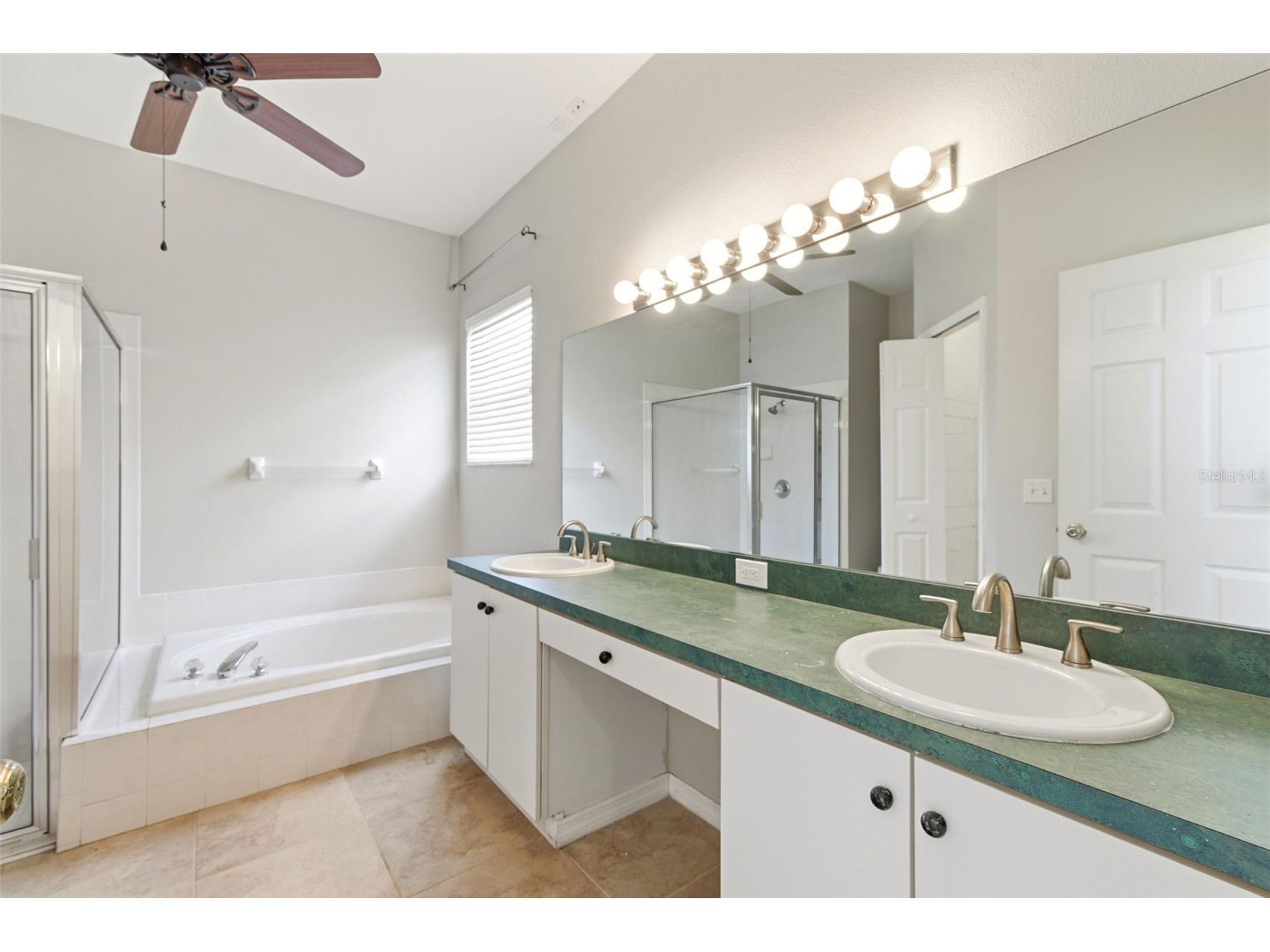 1623 Crossvine Court Trinity FL 34655 W7885975 image24
