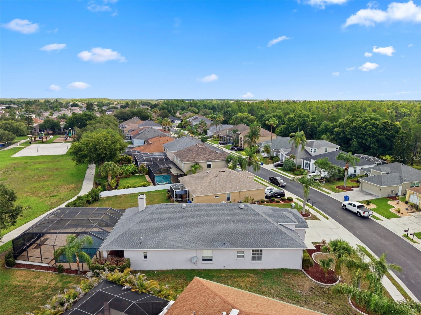 1623 Crossvine Court Trinity FL 34655 W7885975 image46