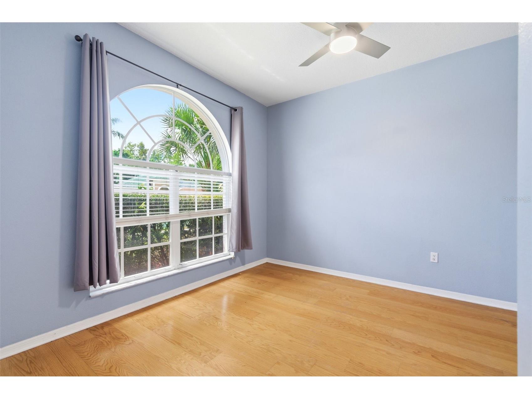 1623 Crossvine Court Trinity FL 34655 W7885975 image5