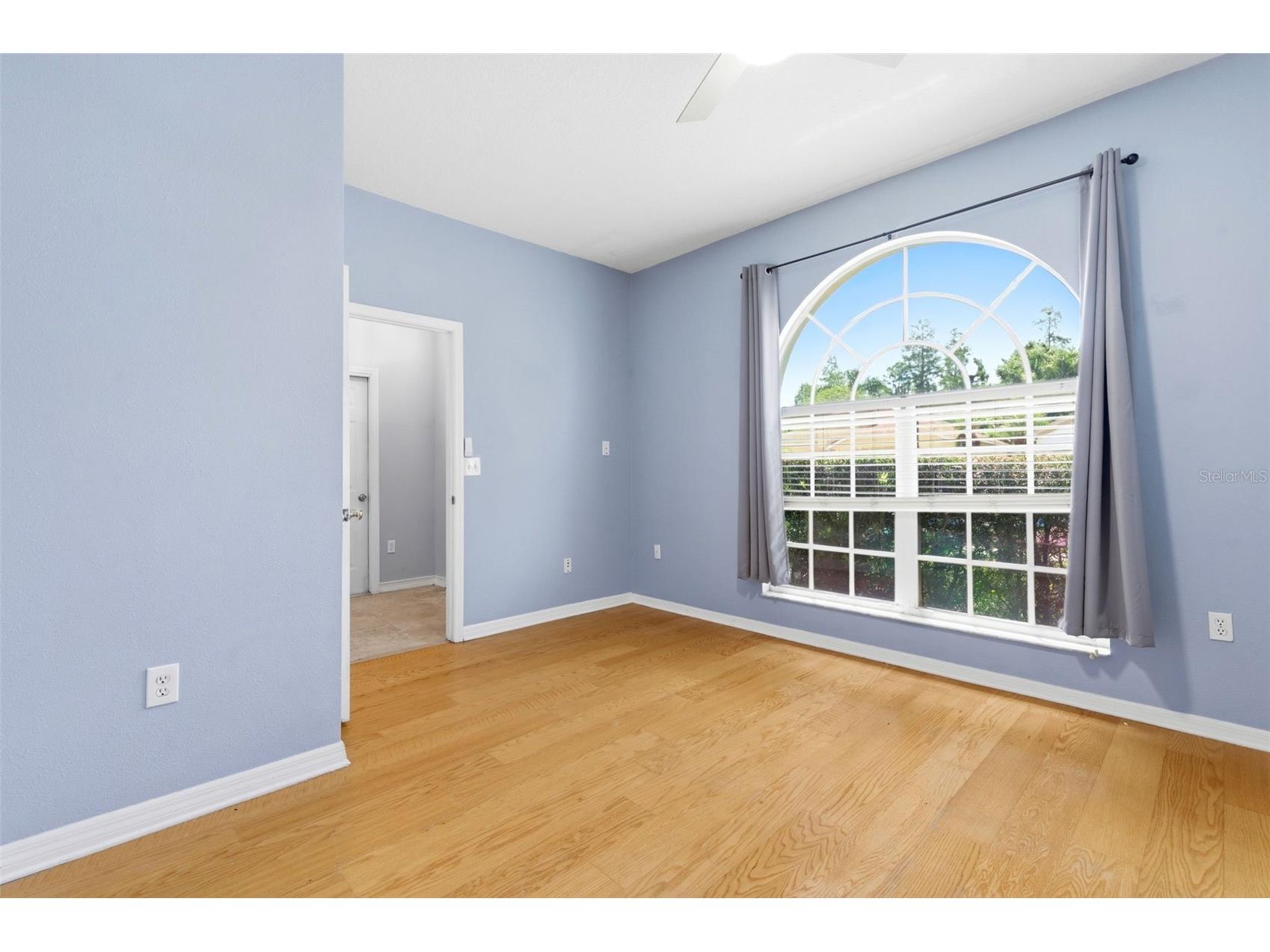 1623 Crossvine Court Trinity FL 34655 W7885975 image6