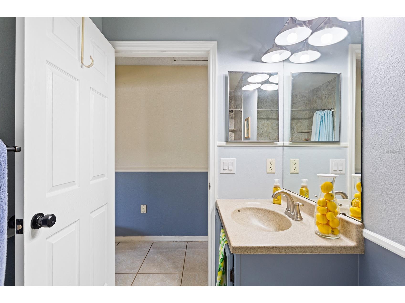 1623 Gray Bark Drive Oldsmar FL 34677 TB8512588 image20